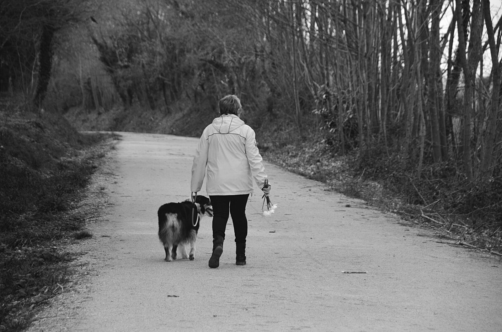 Nikon D5100 sample photo. Promenade, dog, woman photography