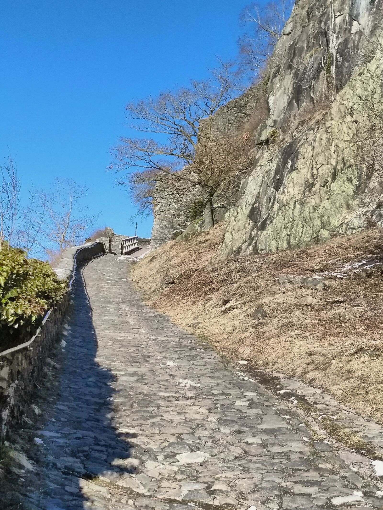 Motorola Moto G (5) Plus sample photo. Sing, hohentwiel, ruin photography