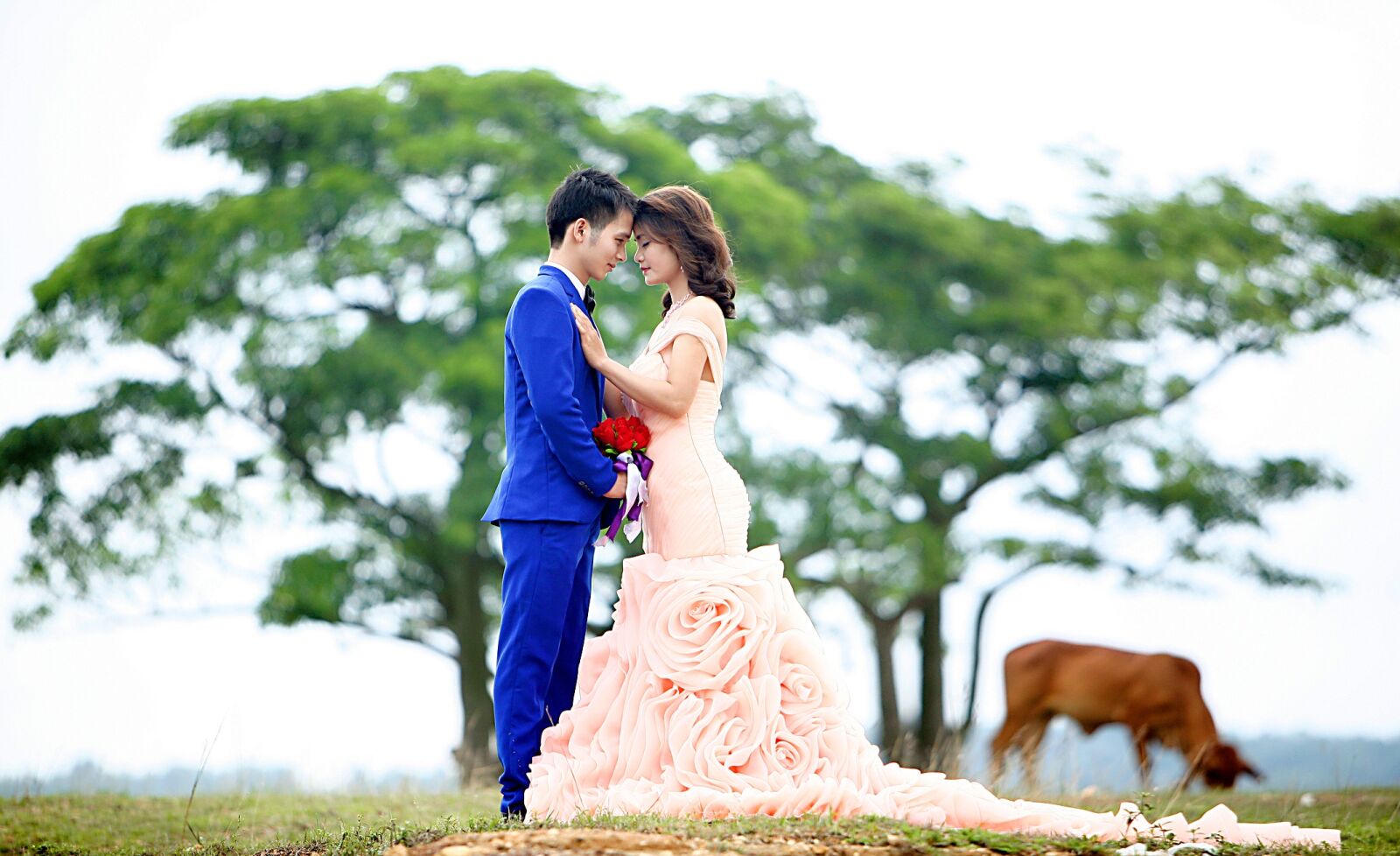Canon EOS 5D sample photo. Couple, wedding, nice picture photography