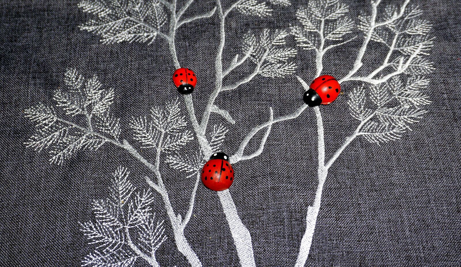 Sony a6000 sample photo. Insects, ladybug, red photography