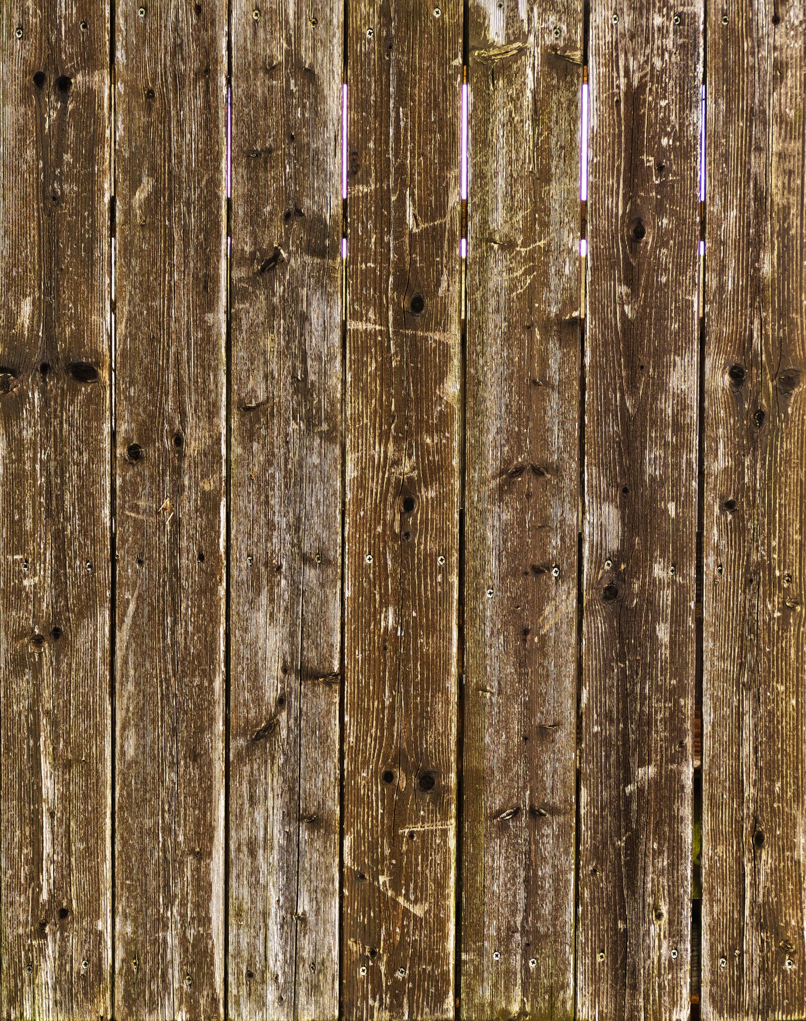 Panasonic Lumix DMC-FZ1000 sample photo. Wood, boards, branches photography