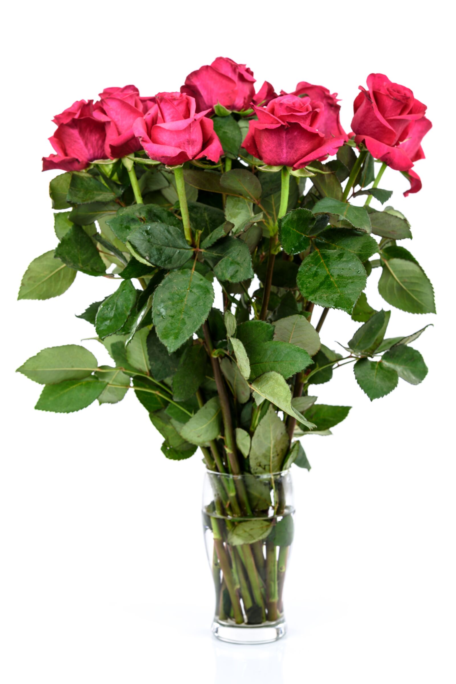 Nikon D750 sample photo. Roses, flower, gift photography