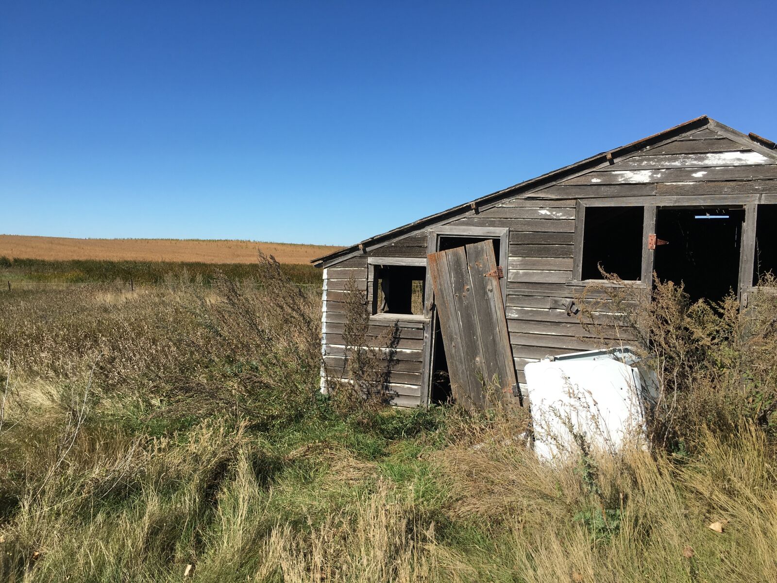 Apple iPhone 6s sample photo. Chicken coop, farm, pioneer photography