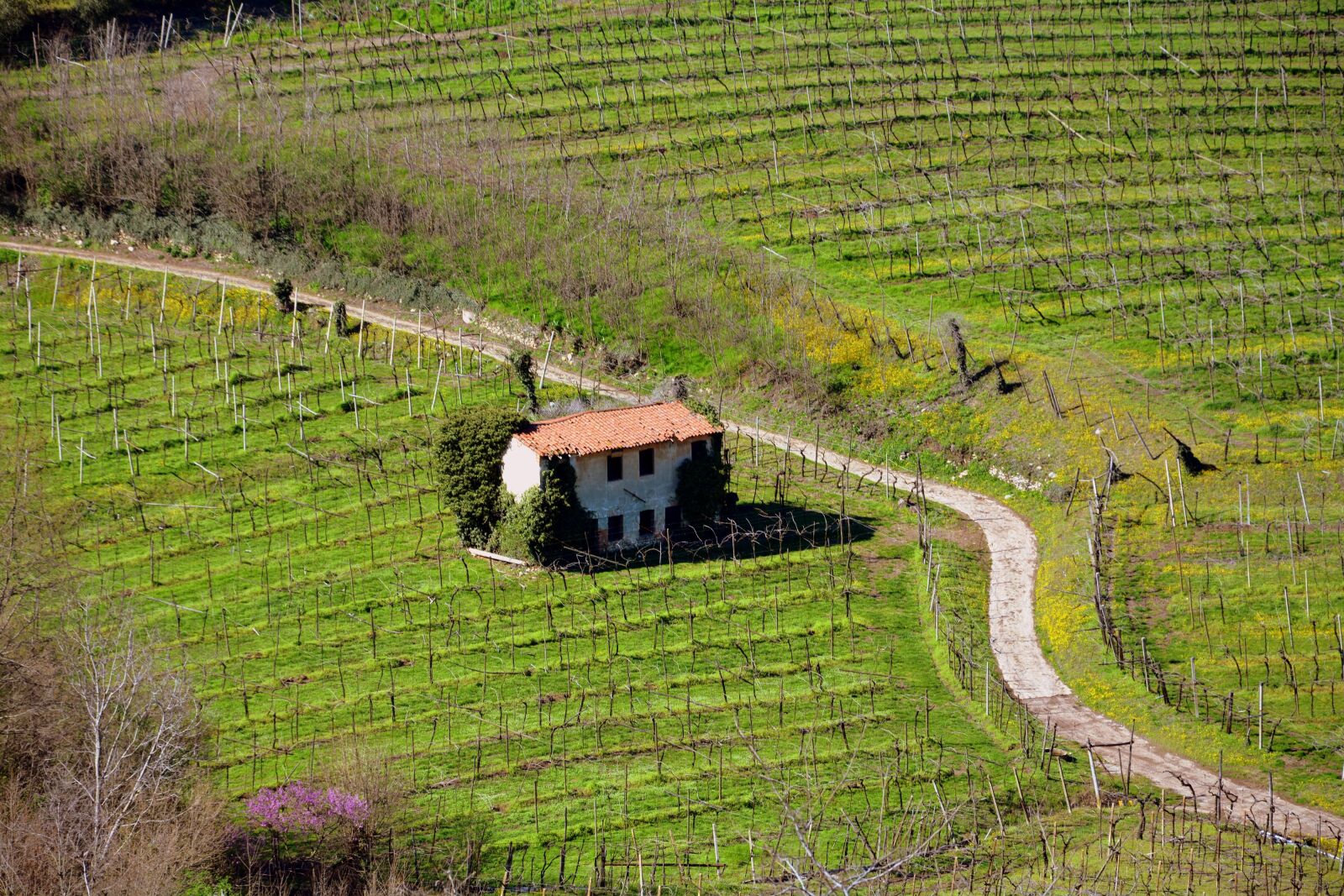 Nikon D7100 sample photo. Farm, field, nature photography