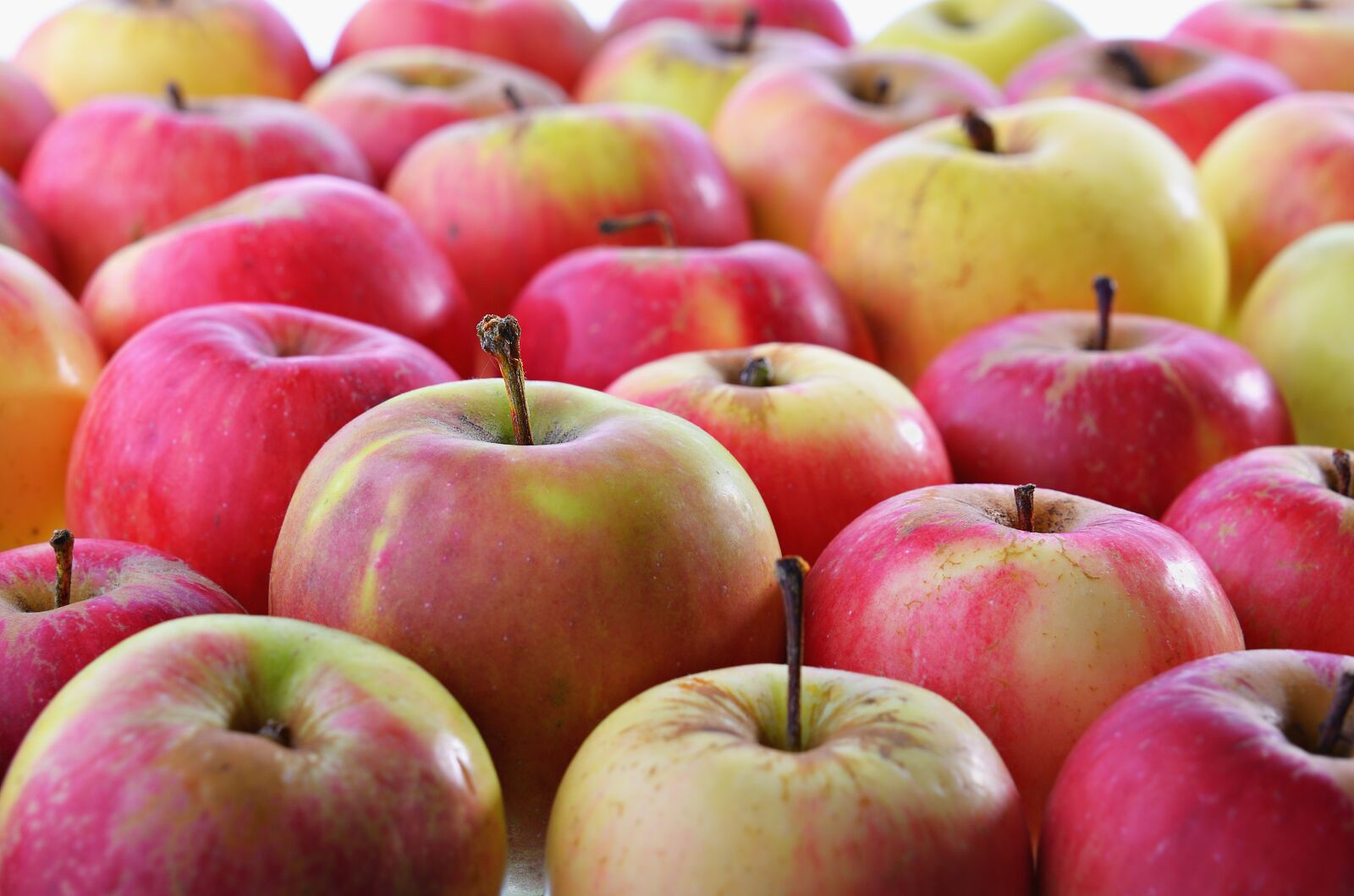 Nikon D7000 sample photo. Apple, background, fruit photography