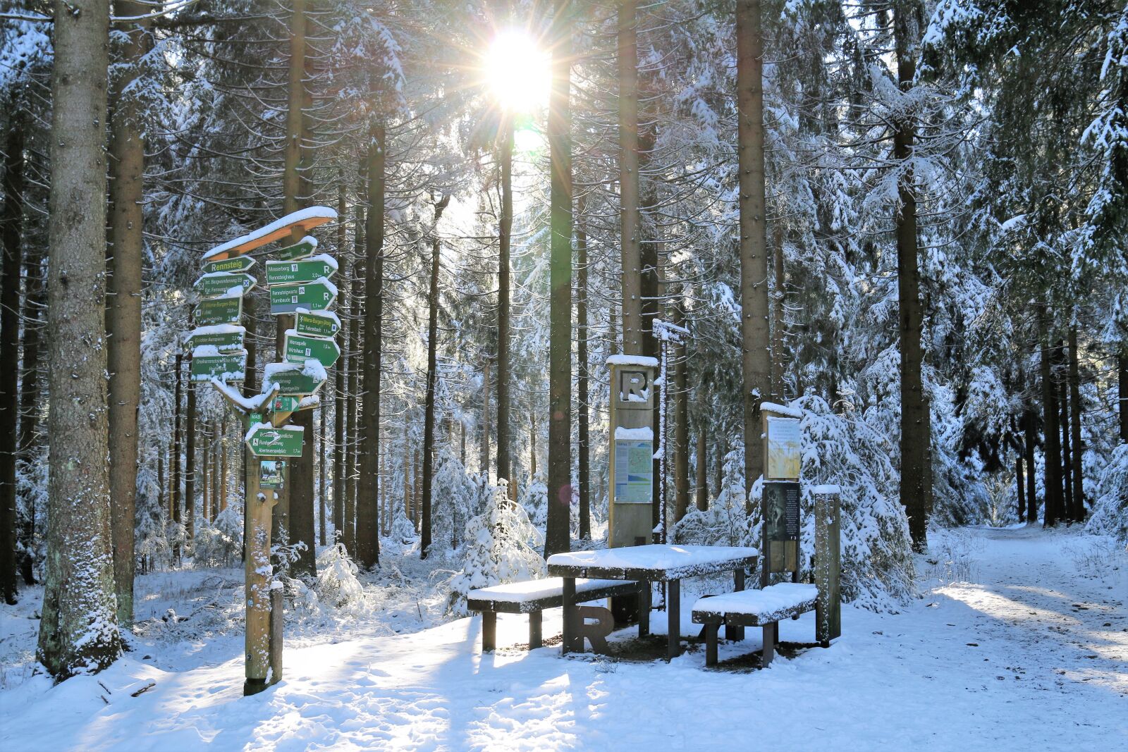Canon EOS 70D + Canon EF 24-70mm F4L IS USM sample photo. Winter forest, thuringia germany photography