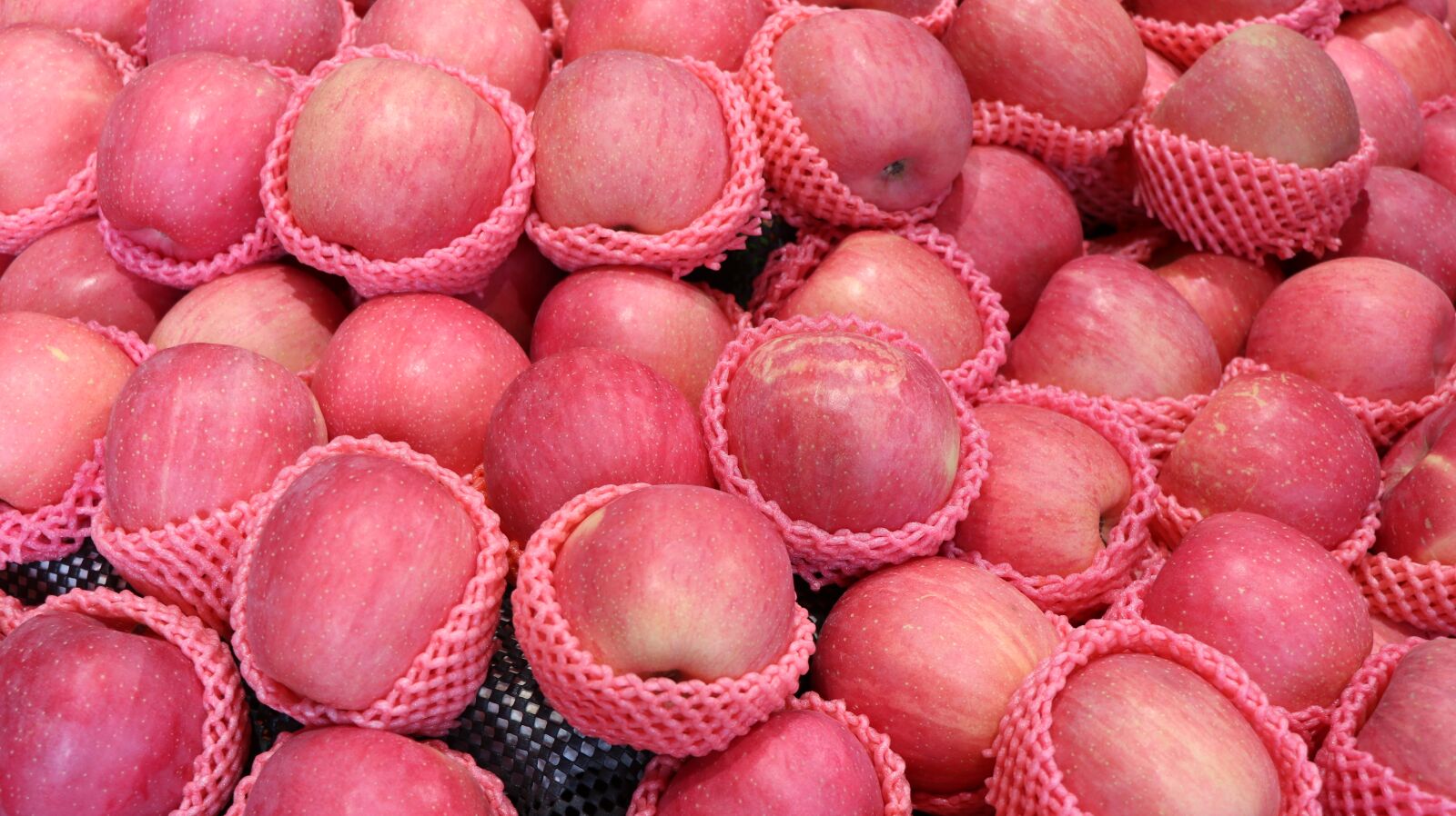 Canon EF-S 18-135mm F3.5-5.6 IS USM sample photo. Apple, fruit, red photography