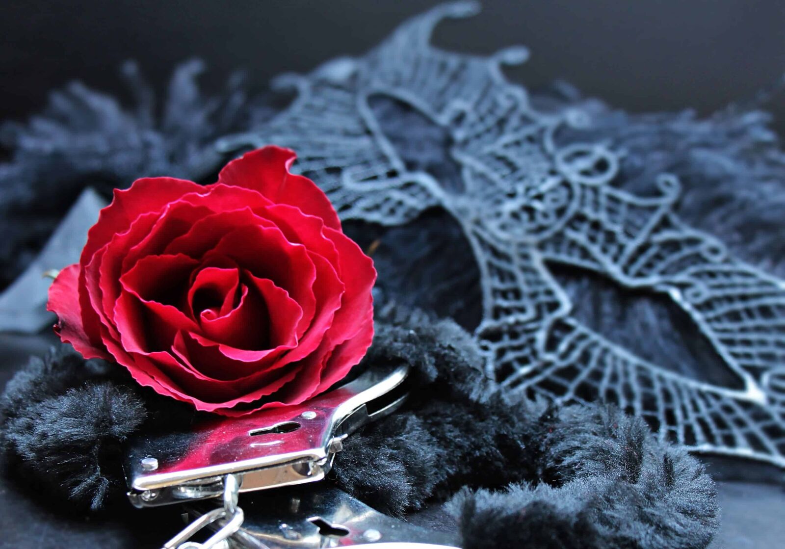 Canon EOS 550D (EOS Rebel T2i / EOS Kiss X4) sample photo. Mask, fur, metal, handcuffs photography