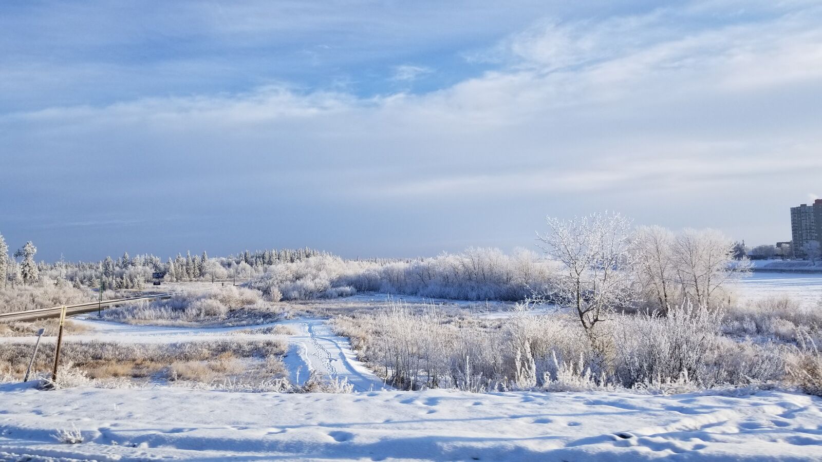 Samsung Galaxy S8 sample photo. Winter, riverside, nature photography