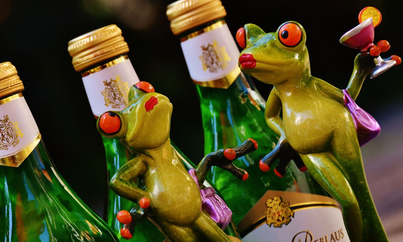 Nikon D7200 sample photo. Frogs, wine, drink photography