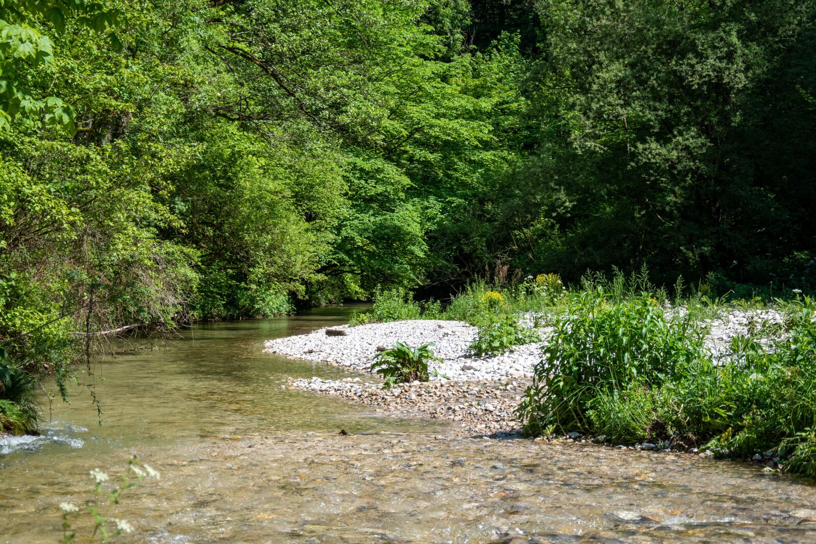 Nikon D5500 sample photo. River, nature, landscape photography