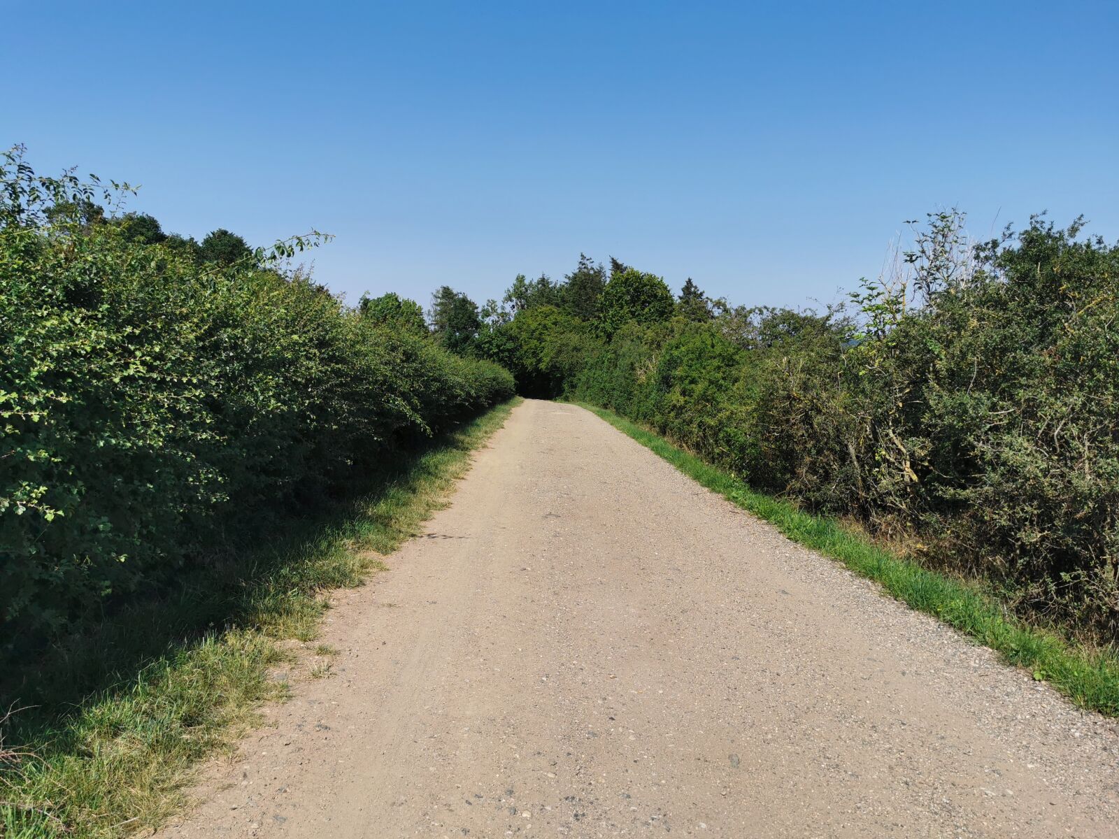 HUAWEI P30 Pro sample photo