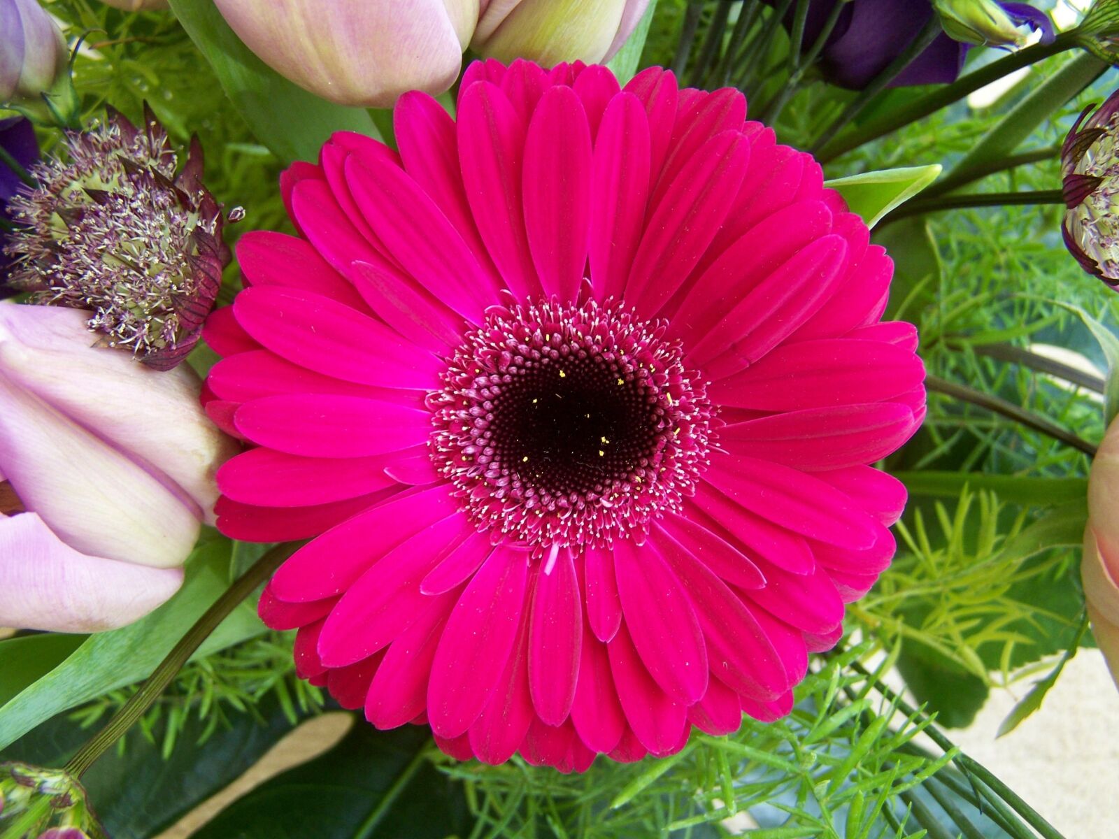 Kodak EASYSHARE ZD710 ZOOM DIGITAL CAMERA sample photo. Flower bouquet, gerbera, cut photography