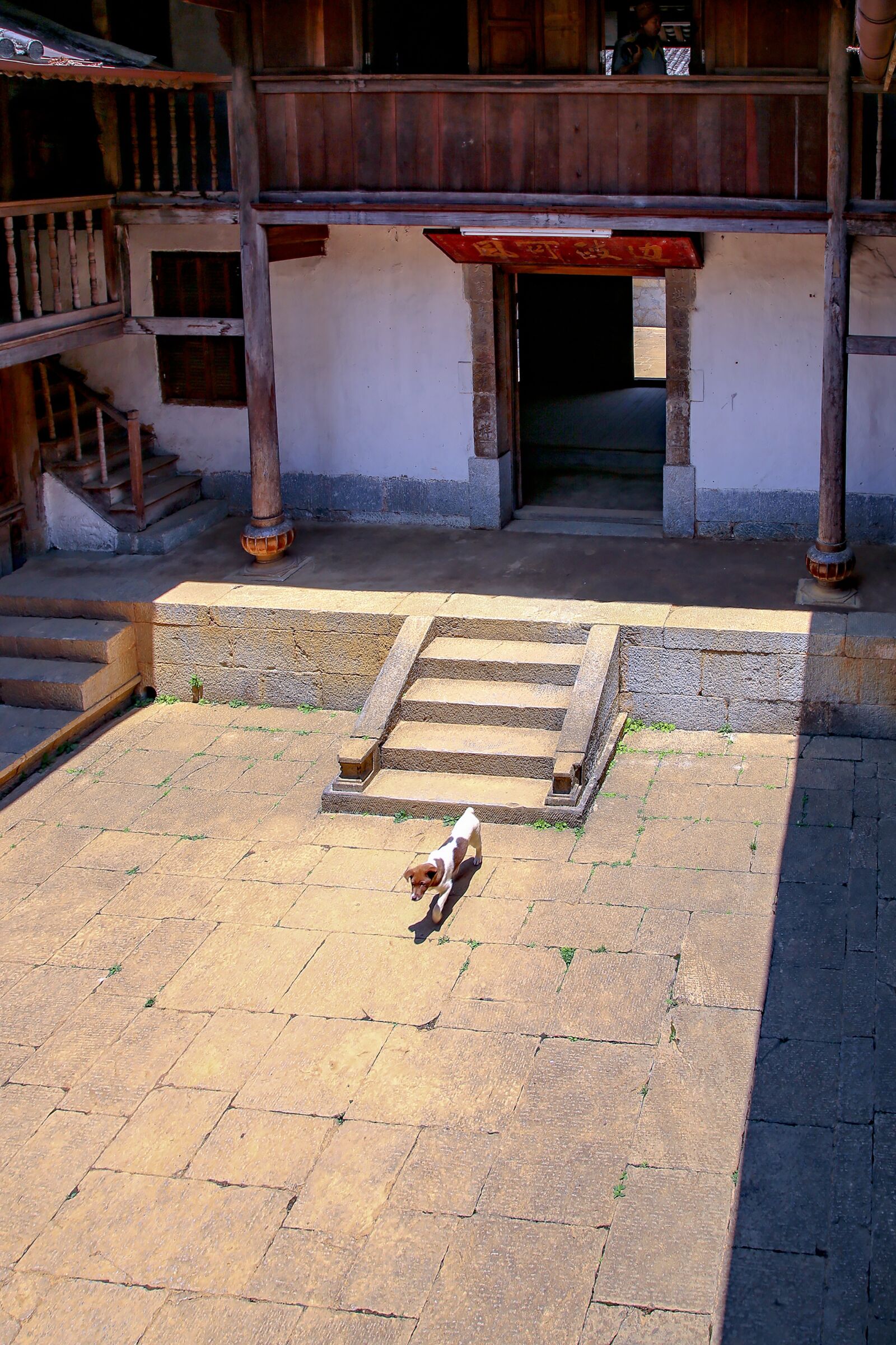 Canon EF 24-105mm F4L IS USM sample photo. Dog, saw, courtyard photography
