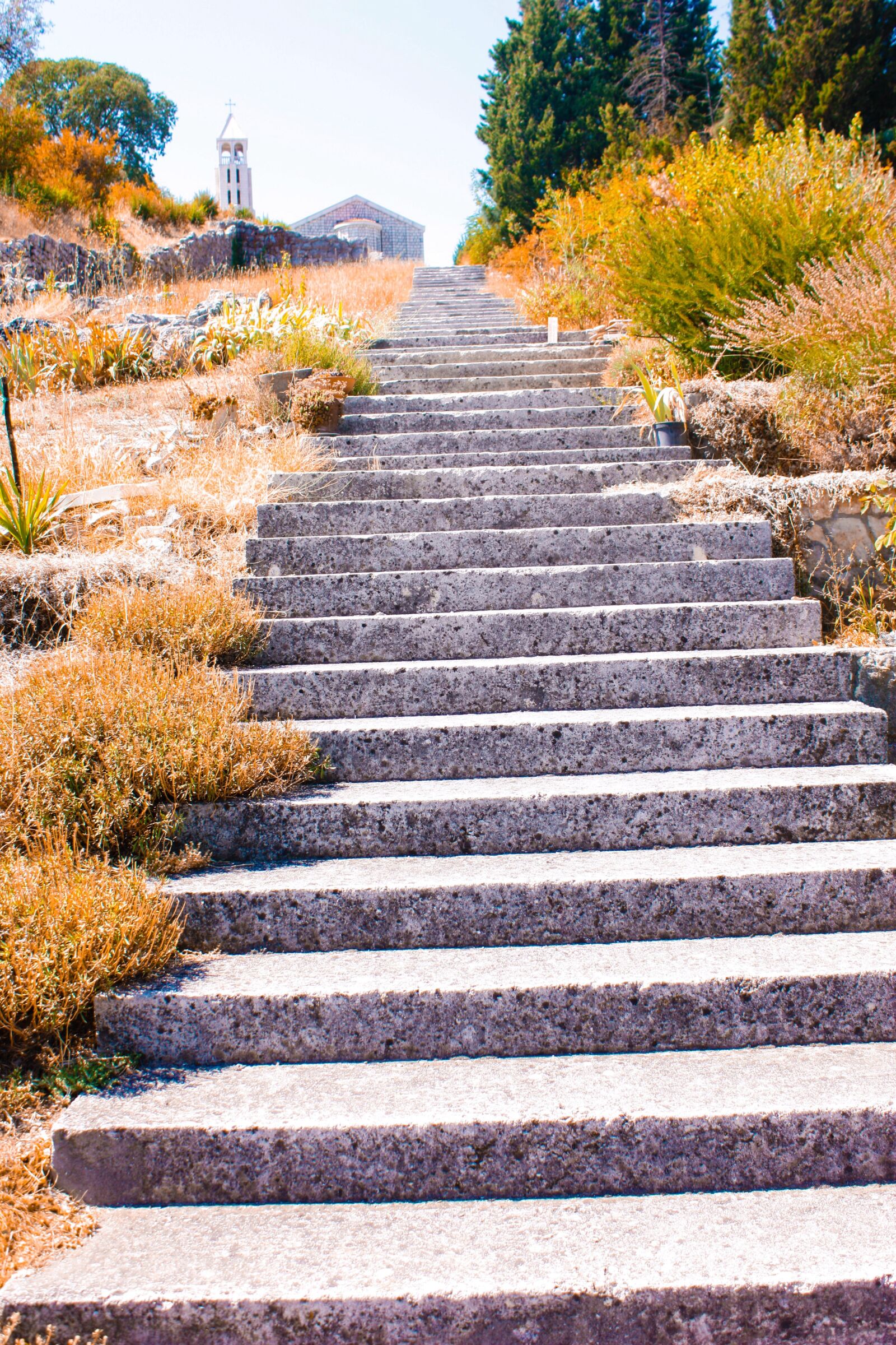 Canon EOS 450D (EOS Rebel XSi / EOS Kiss X2) sample photo. Staircase, height, stairs photography