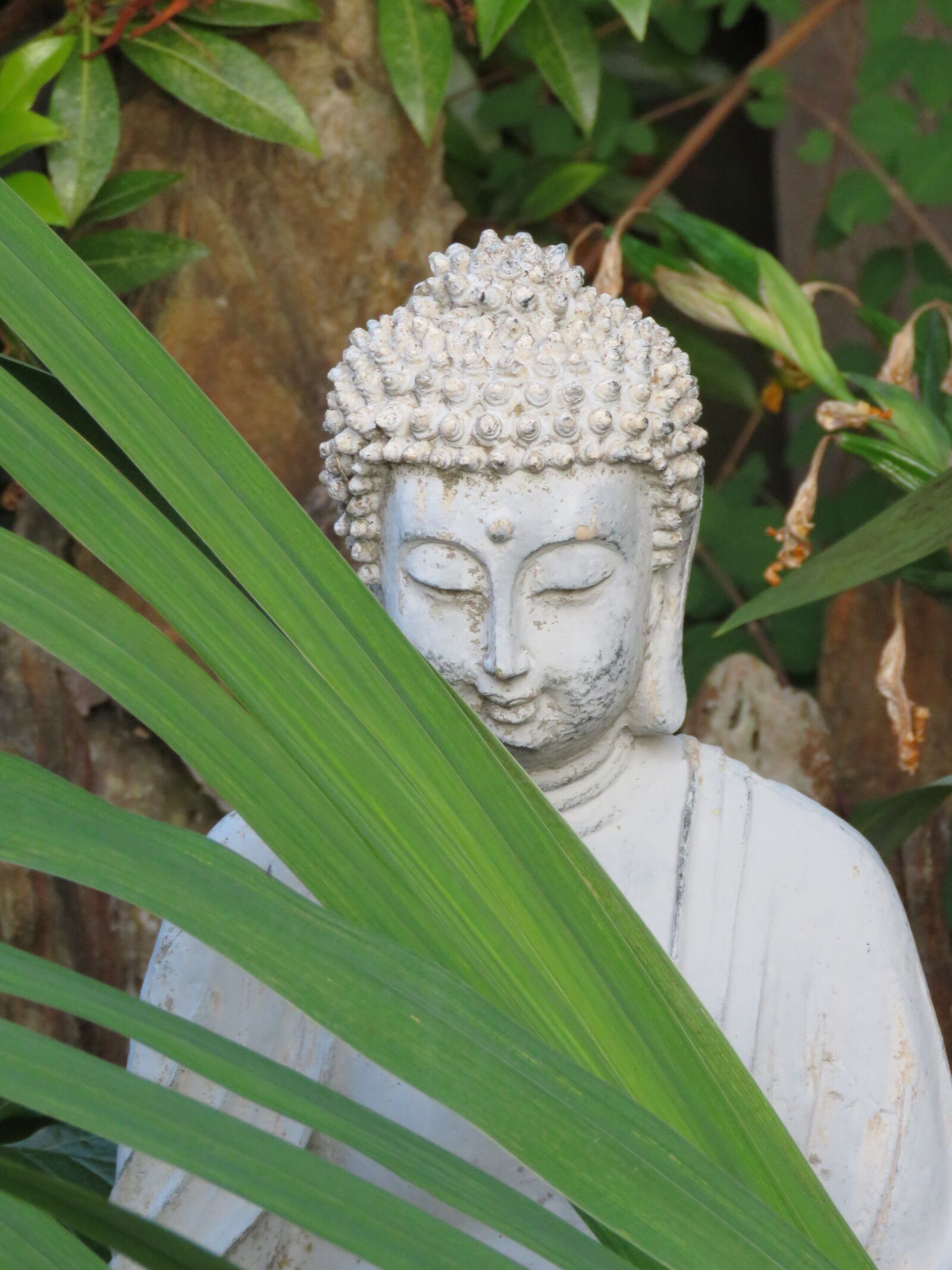 Canon PowerShot SX60 HS sample photo. Buddha, image, religion photography