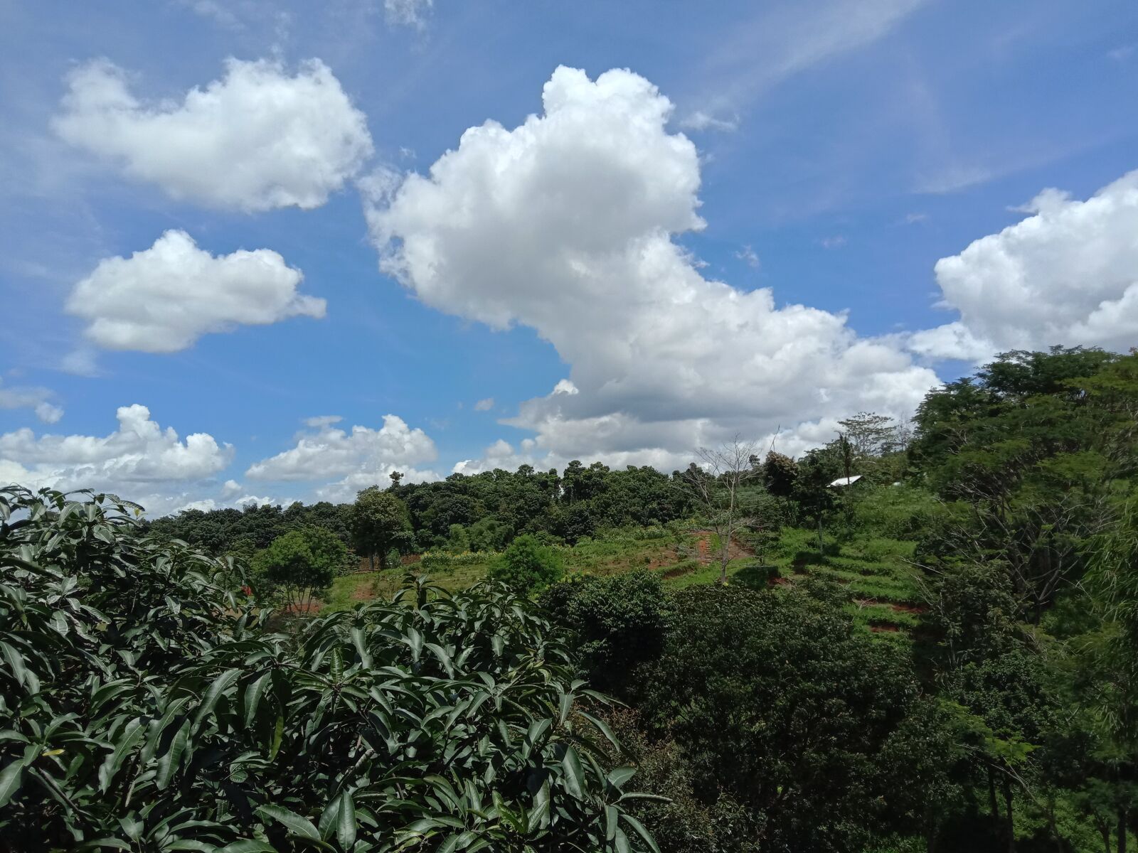 vivo 1816 sample photo. Mountain, cloud, sky photography