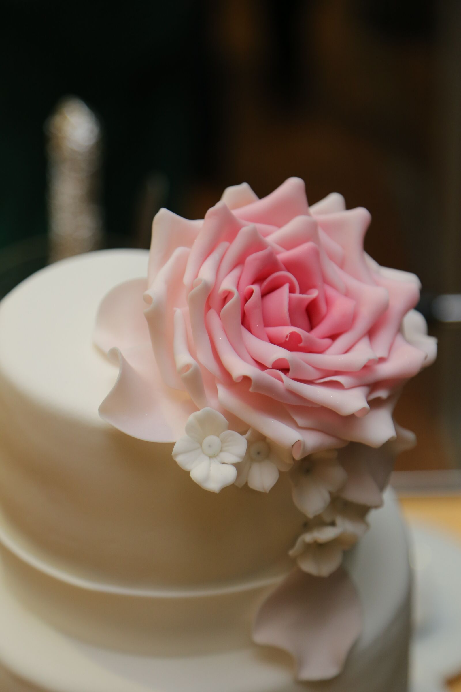 Canon EF 24-105mm F4L IS USM sample photo. Wedding cake, wedding, elegance photography