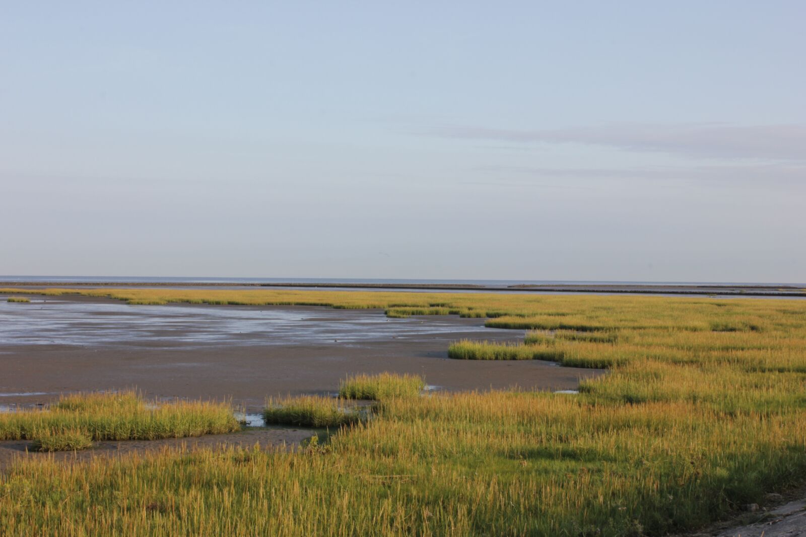 Canon EOS 550D (EOS Rebel T2i / EOS Kiss X4) sample photo. Watts, north sea, grass photography