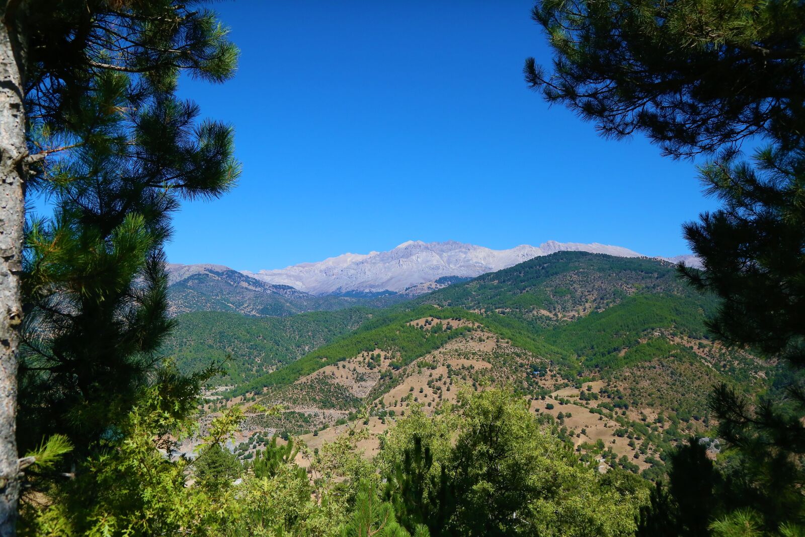 Canon EF 24-105mm F4L IS USM sample photo. Landscape, mountains, summit photography