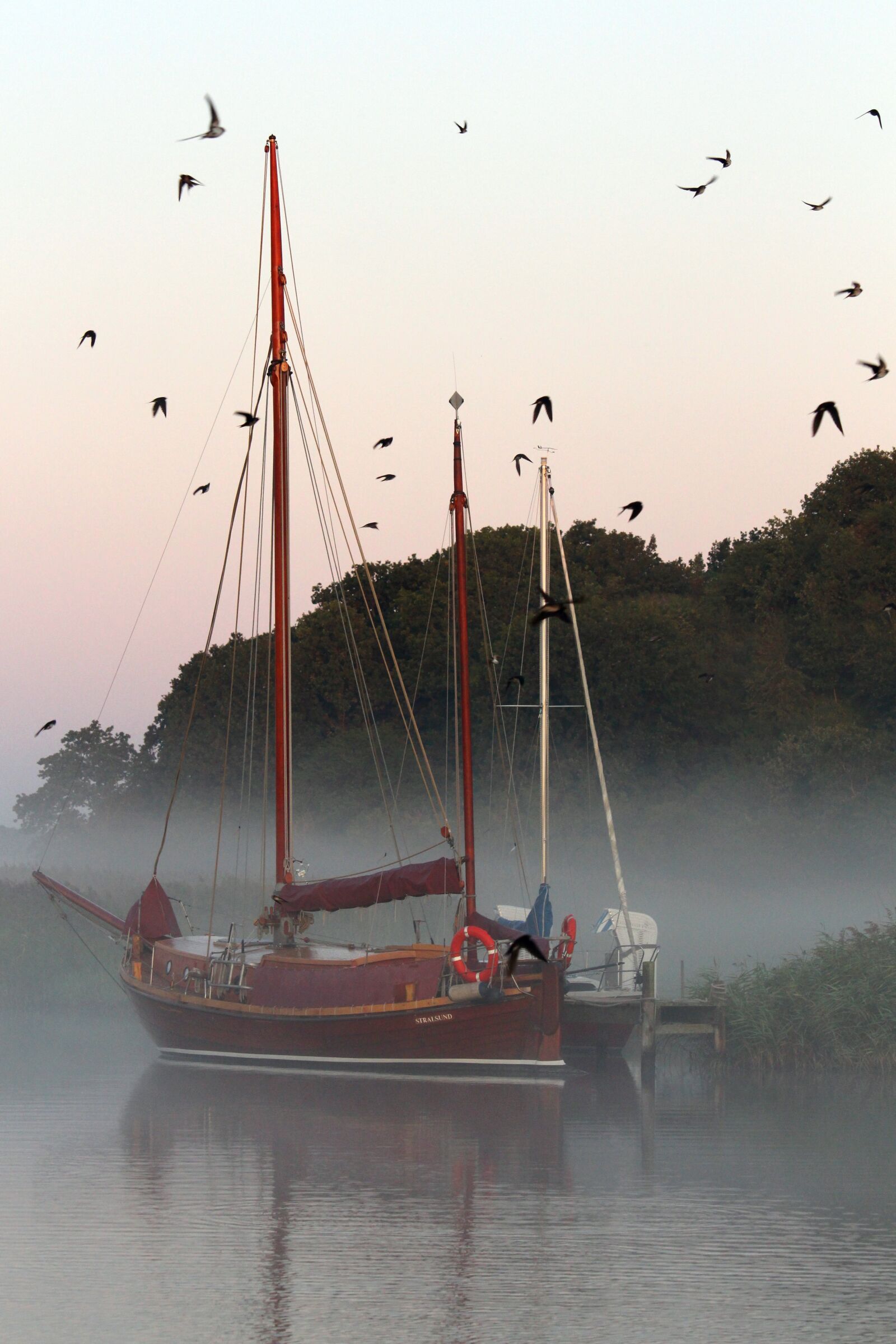 Canon EF-S 55-250mm F4-5.6 IS STM sample photo. Morning mist, fog, port photography