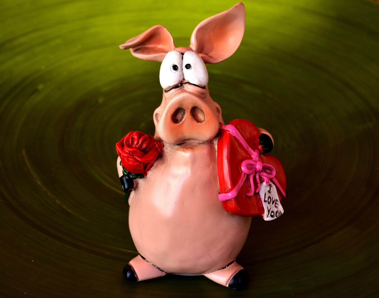Nikon D7200 sample photo. Piglet, figure, love photography