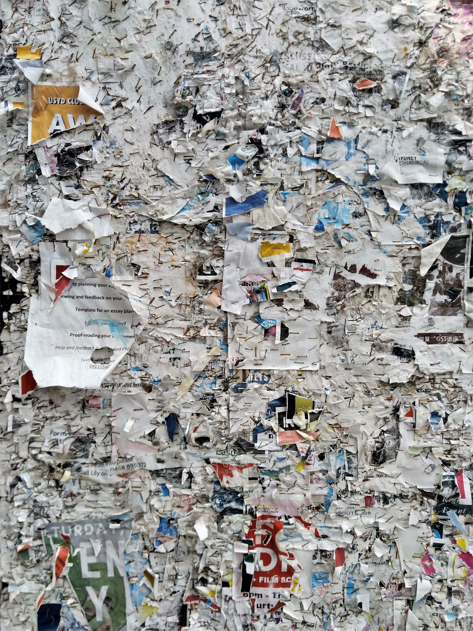 HMD Global Nokia 7 plus sample photo. Poster, wall, student photography