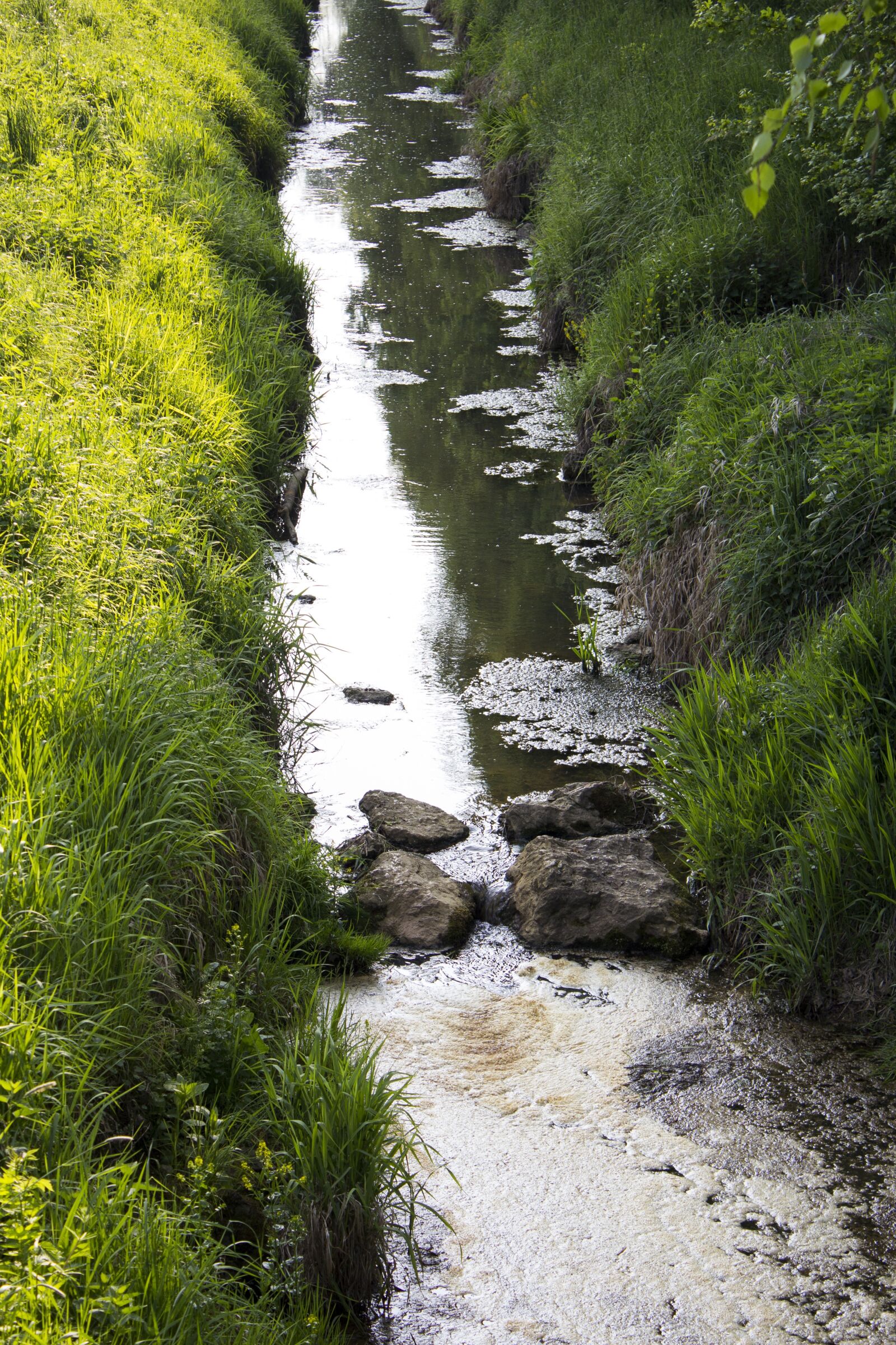 Canon EOS 600D (Rebel EOS T3i / EOS Kiss X5) sample photo. Bach, river, water photography