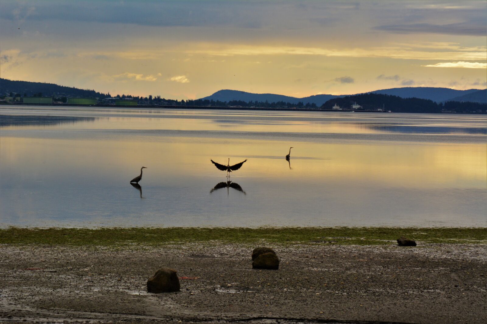 Nikon D7100 sample photo. Bayview, wa, sound photography