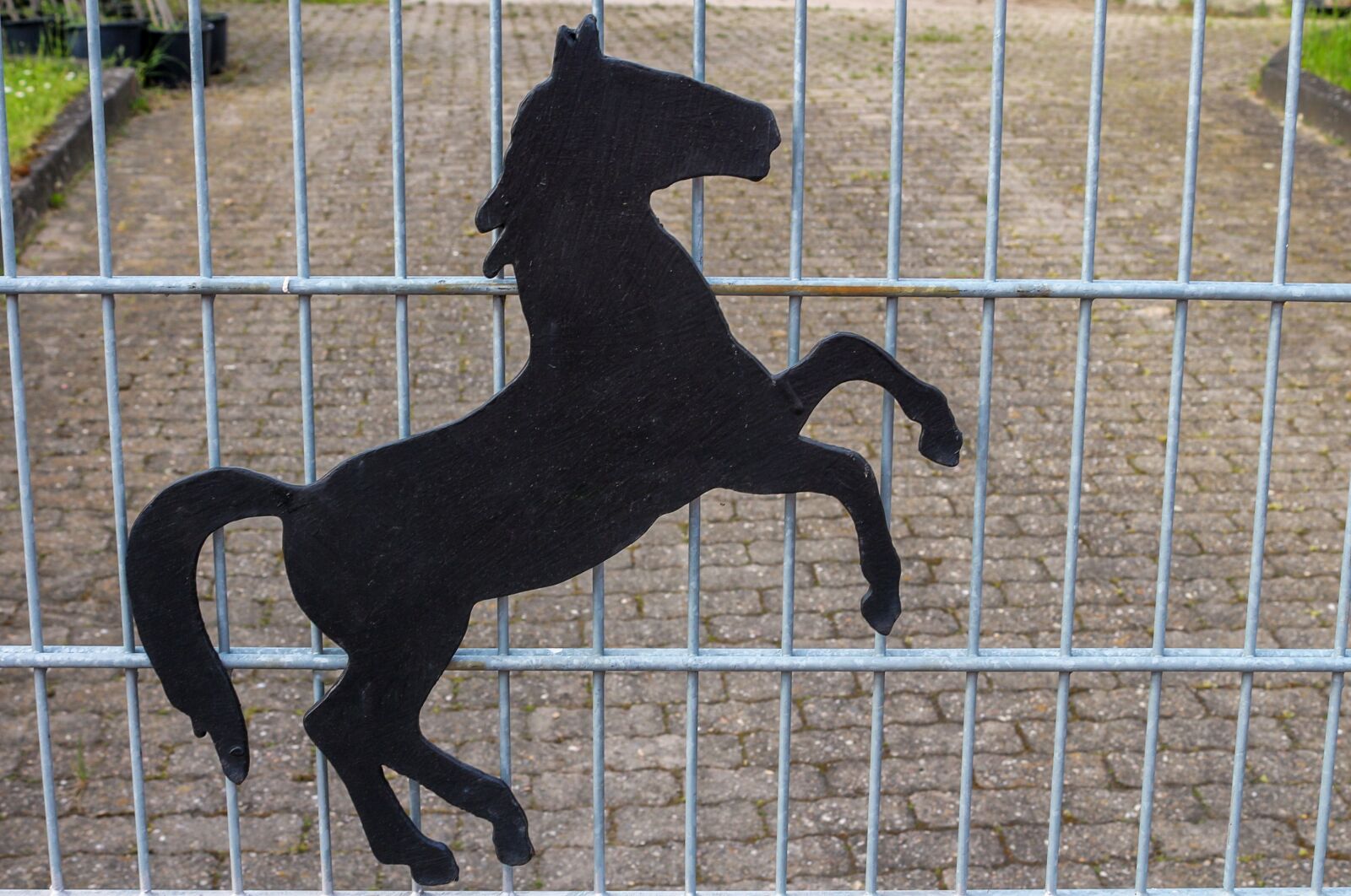 Canon EOS 650D (EOS Rebel T4i / EOS Kiss X6i) sample photo. Horse, ornament, fence photography