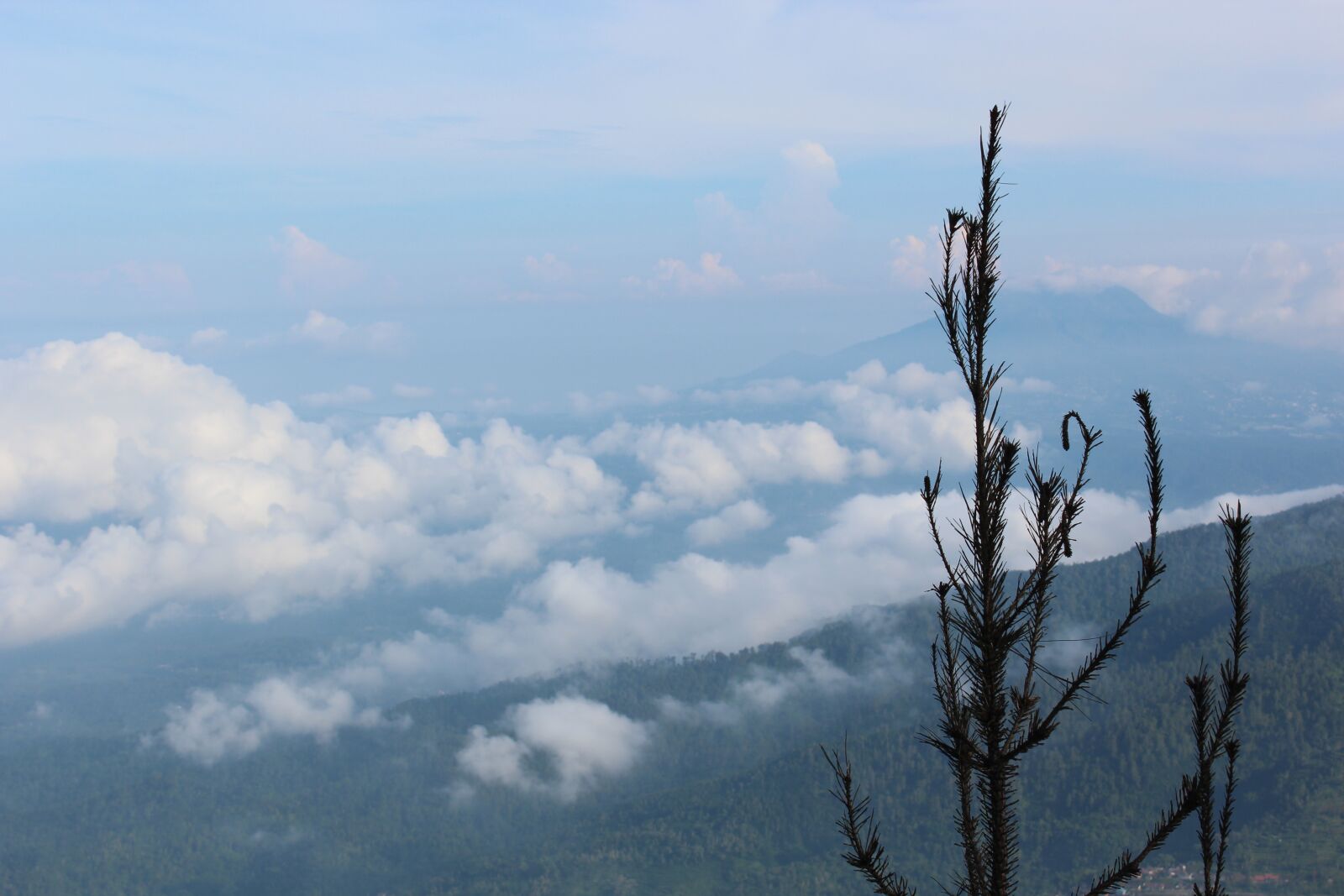 Canon EOS 600D (Rebel EOS T3i / EOS Kiss X5) sample photo. Indonesian, mount, nature photography