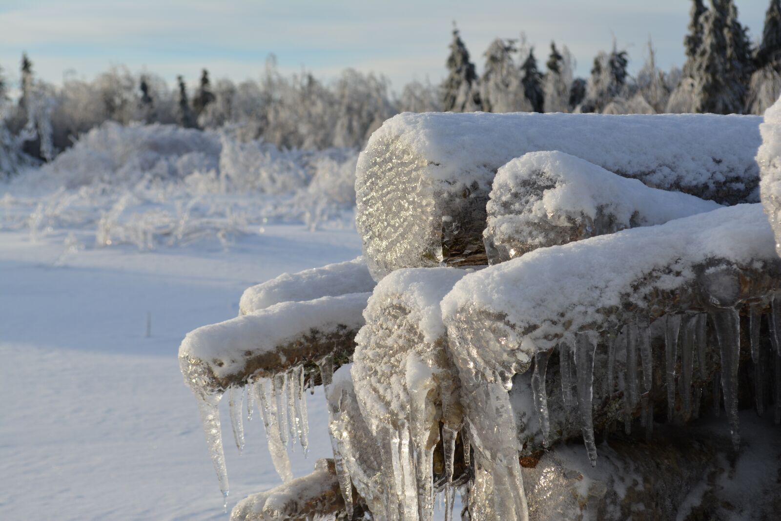 Nikon D5200 sample photo. Wood, winter, winter landscape photography