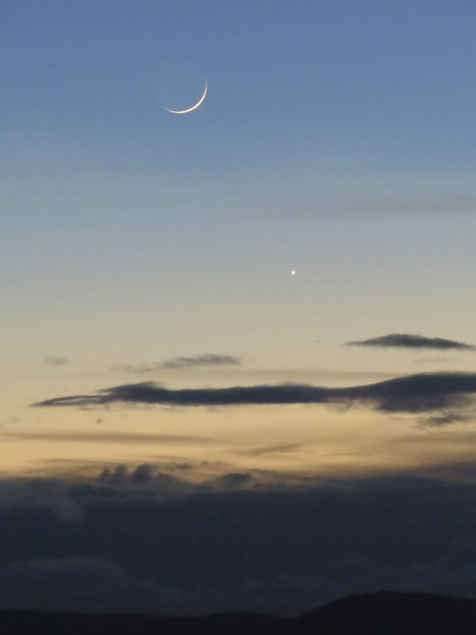 Canon PowerShot SX50 HS sample photo. Venus, moon, evening sky photography