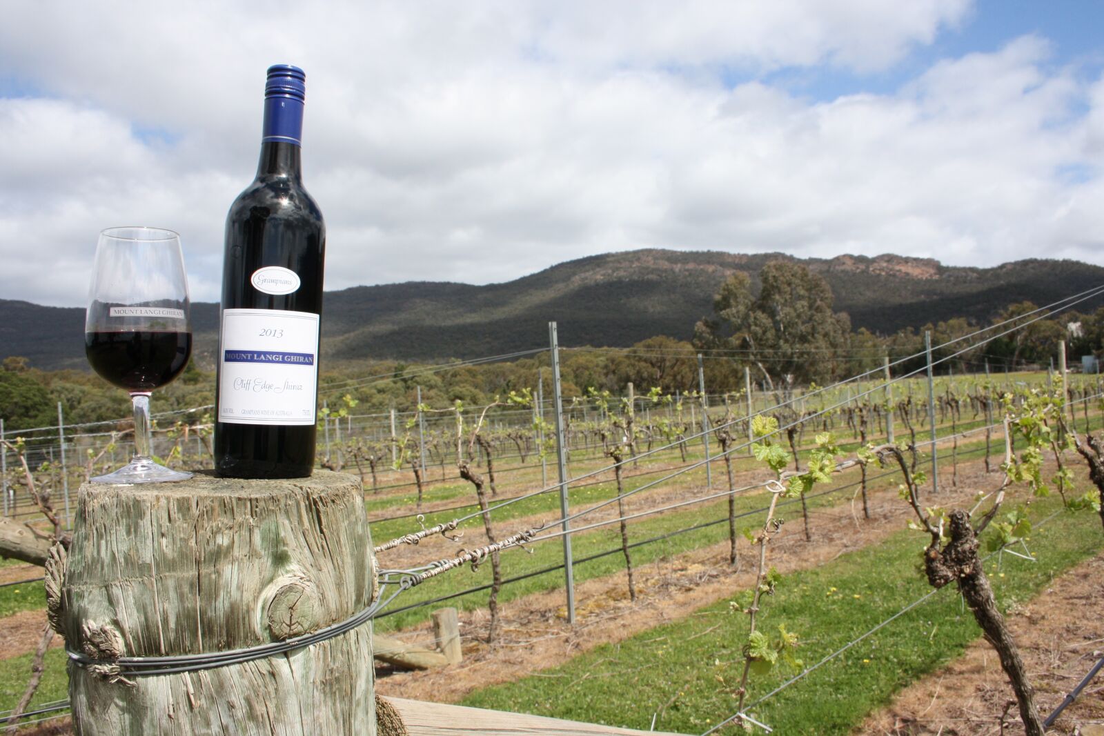 Canon EOS 1000D (EOS Digital Rebel XS / EOS Kiss F) sample photo. Wine, grampians, vineyard photography