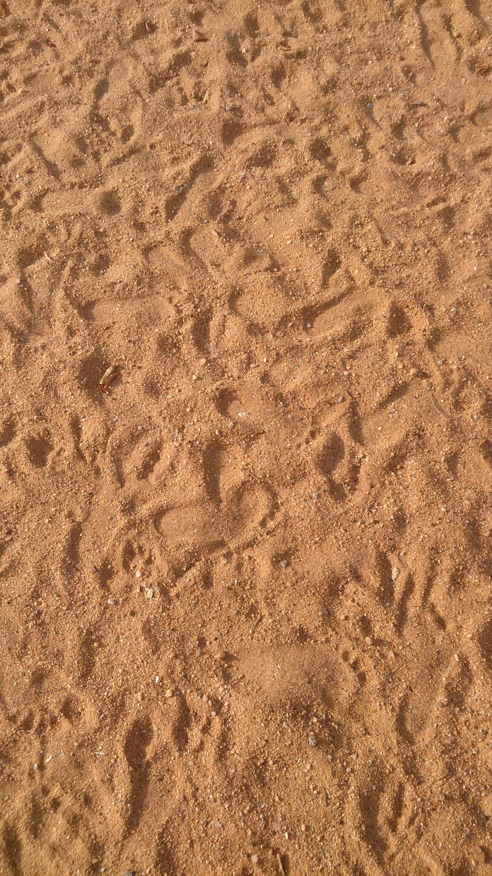 Sony Xperia Z sample photo. Sand, pattern, beach photography