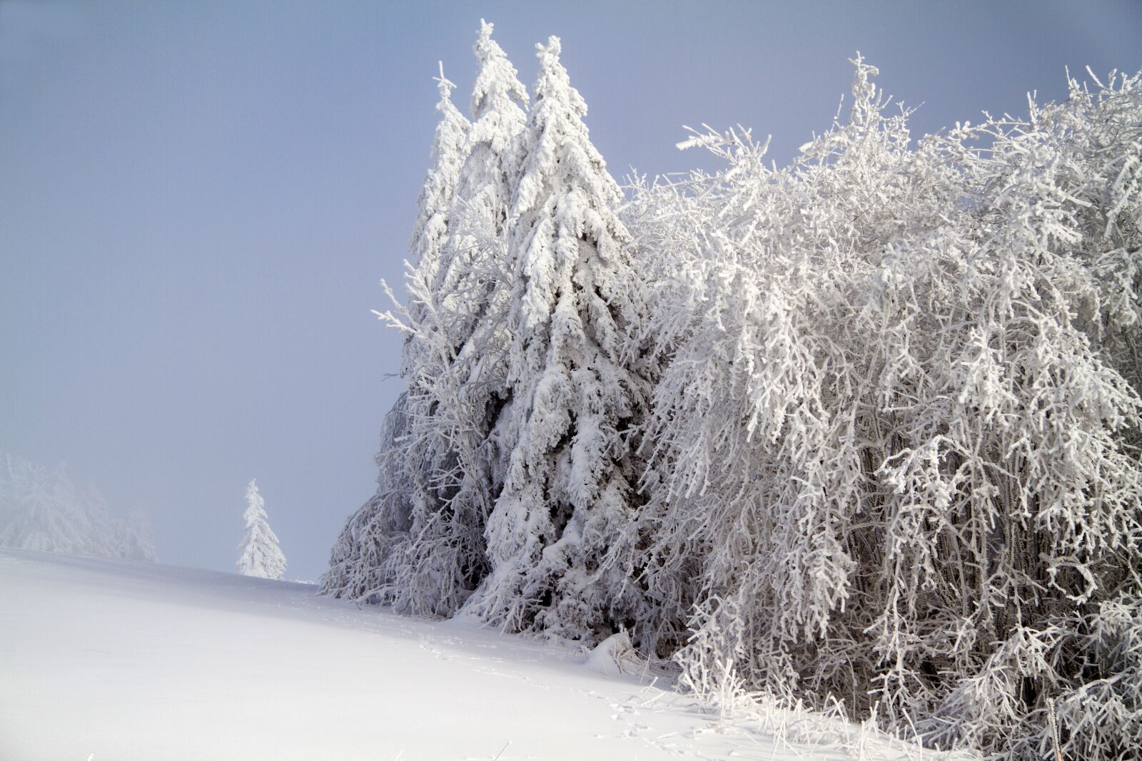 Canon EOS 7D sample photo. Winter, snow, wintry photography