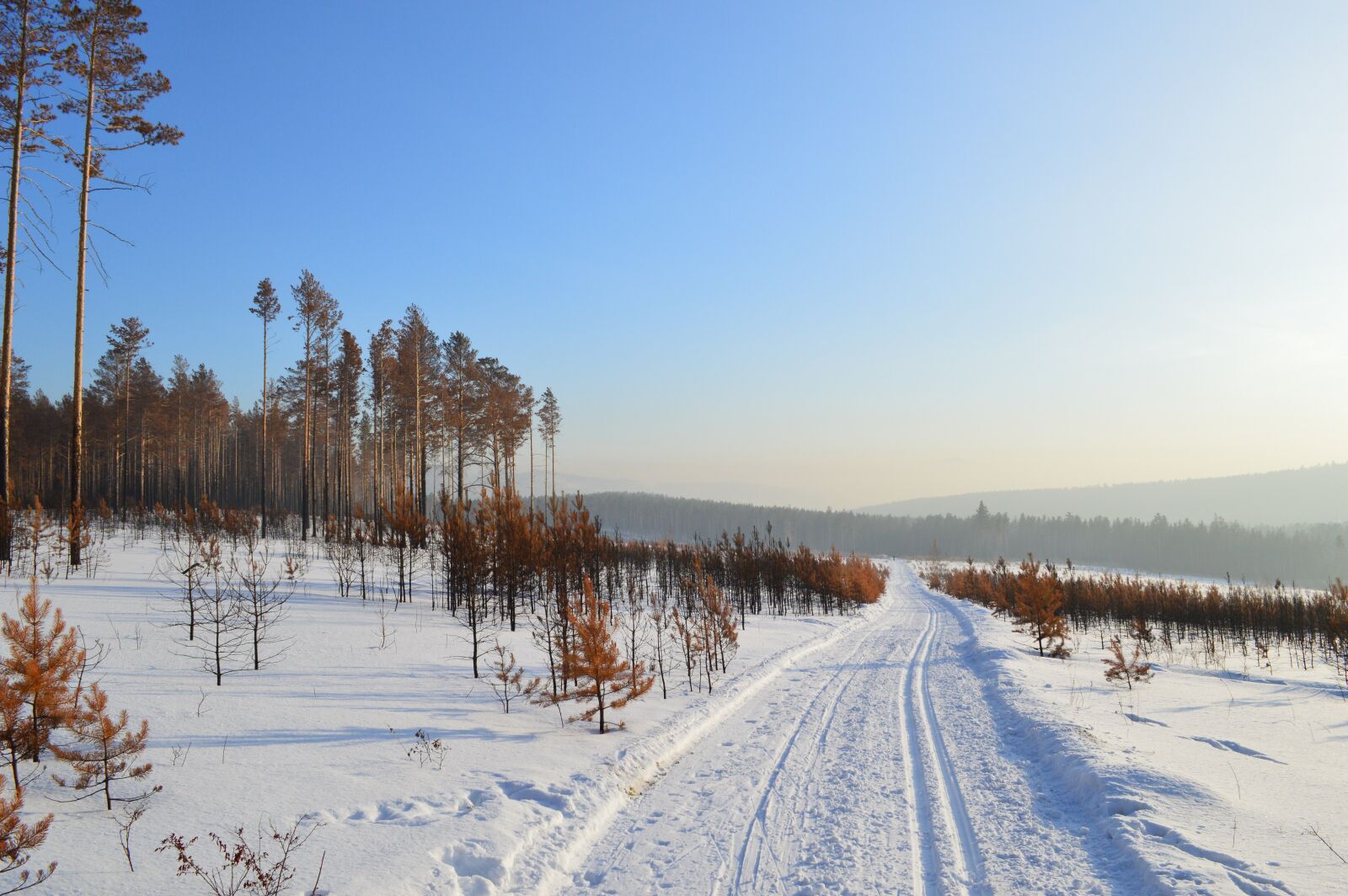 Nikon D3200 sample photo. Winter, siberia, snow photography