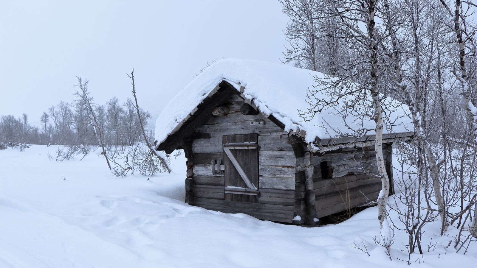 Canon EOS 77D (EOS 9000D / EOS 770D) sample photo. Norway, winter, snow photography