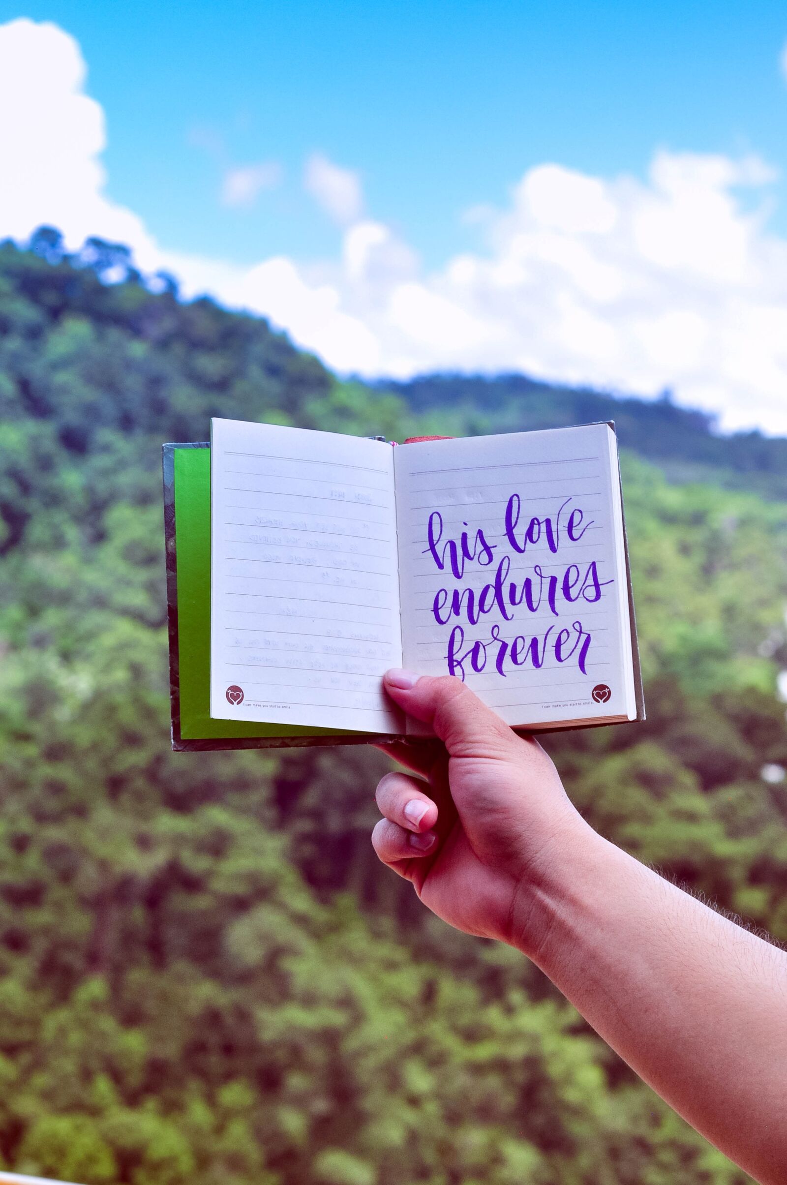 Nikon D5000 sample photo. Calligraphy, nature, text photography