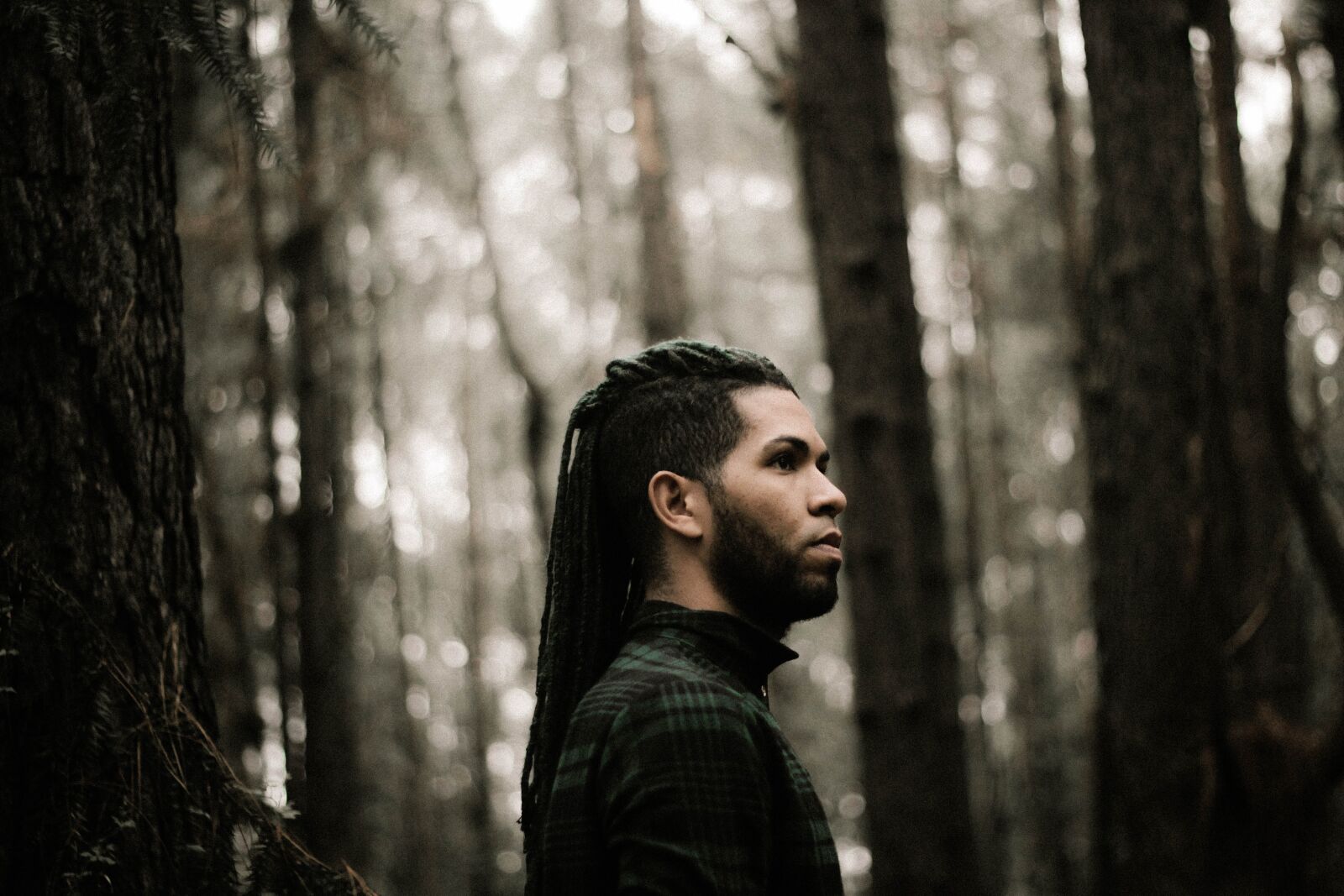 Canon EOS 60D + Canon EF 50mm F1.8 II sample photo. Forest, man, model photography