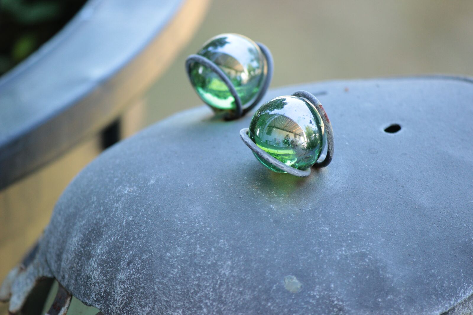 Canon EOS 600D (Rebel EOS T3i / EOS Kiss X5) sample photo. Bug, eyes, animal photography