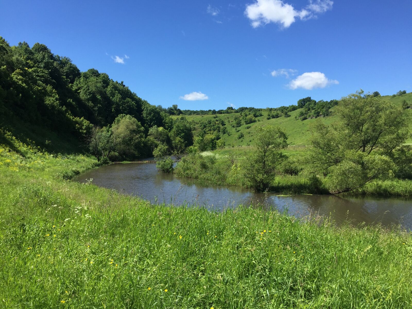 Apple iPhone 6 sample photo. Nature, divnogorie, river photography