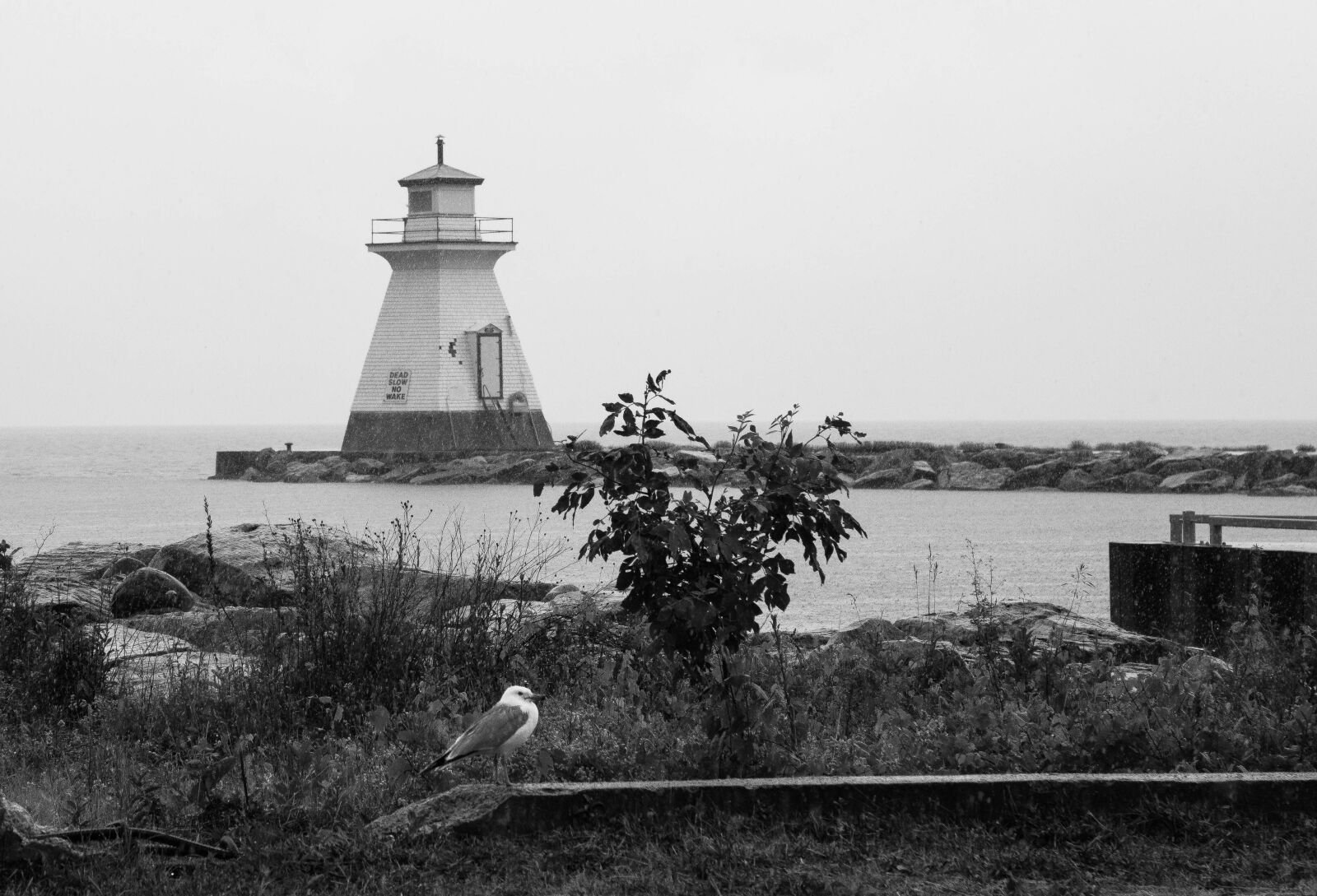 Canon EOS 6D + Canon EF 24-105mm F4L IS USM sample photo. Black and white, lighthouse photography