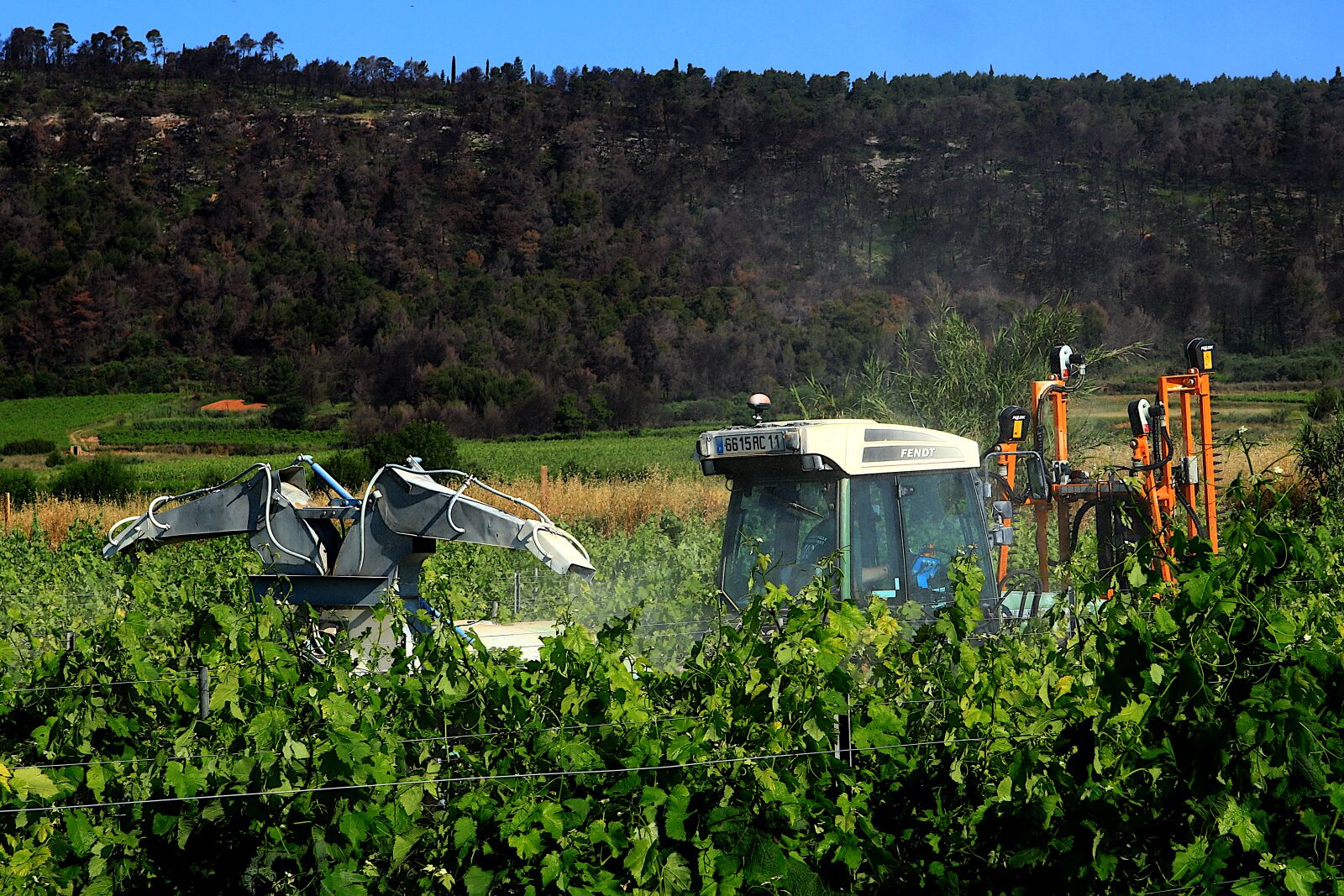 Canon PowerShot G1 X Mark III sample photo. Vineyard, south, france photography