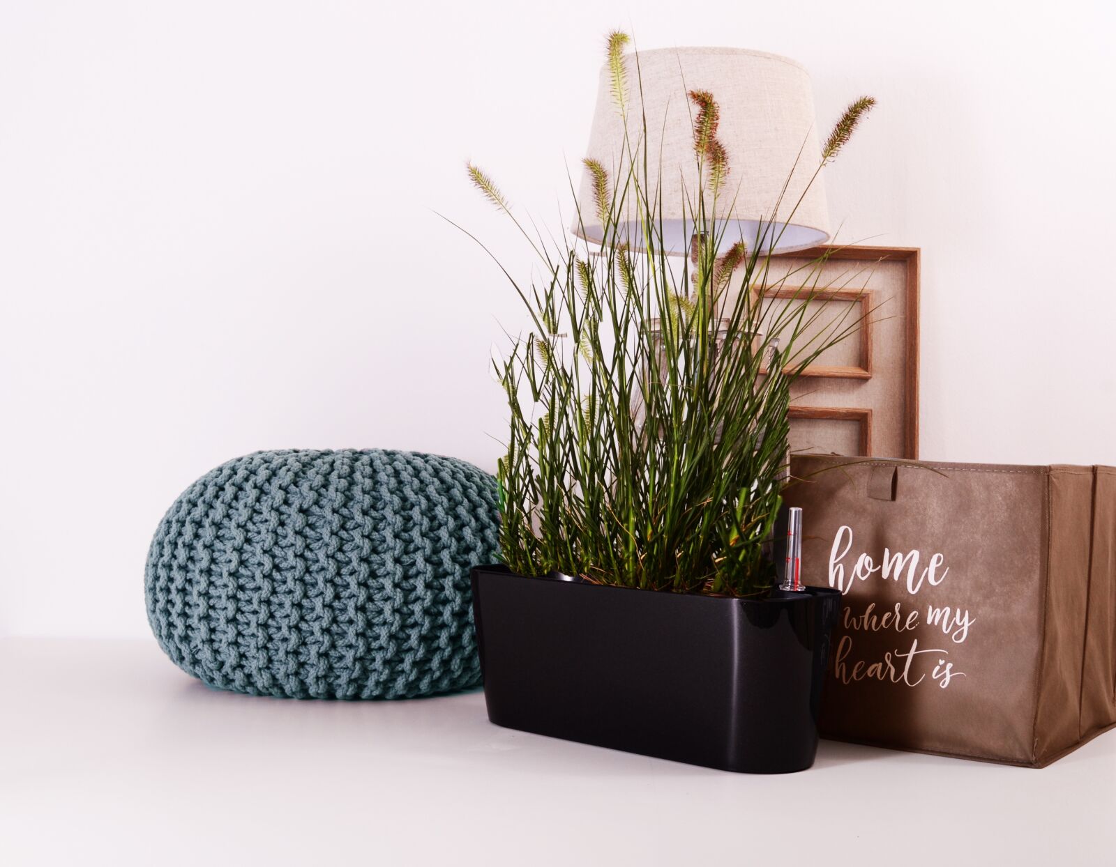 Nikon D3100 sample photo. Plants, flowerpots, green photography
