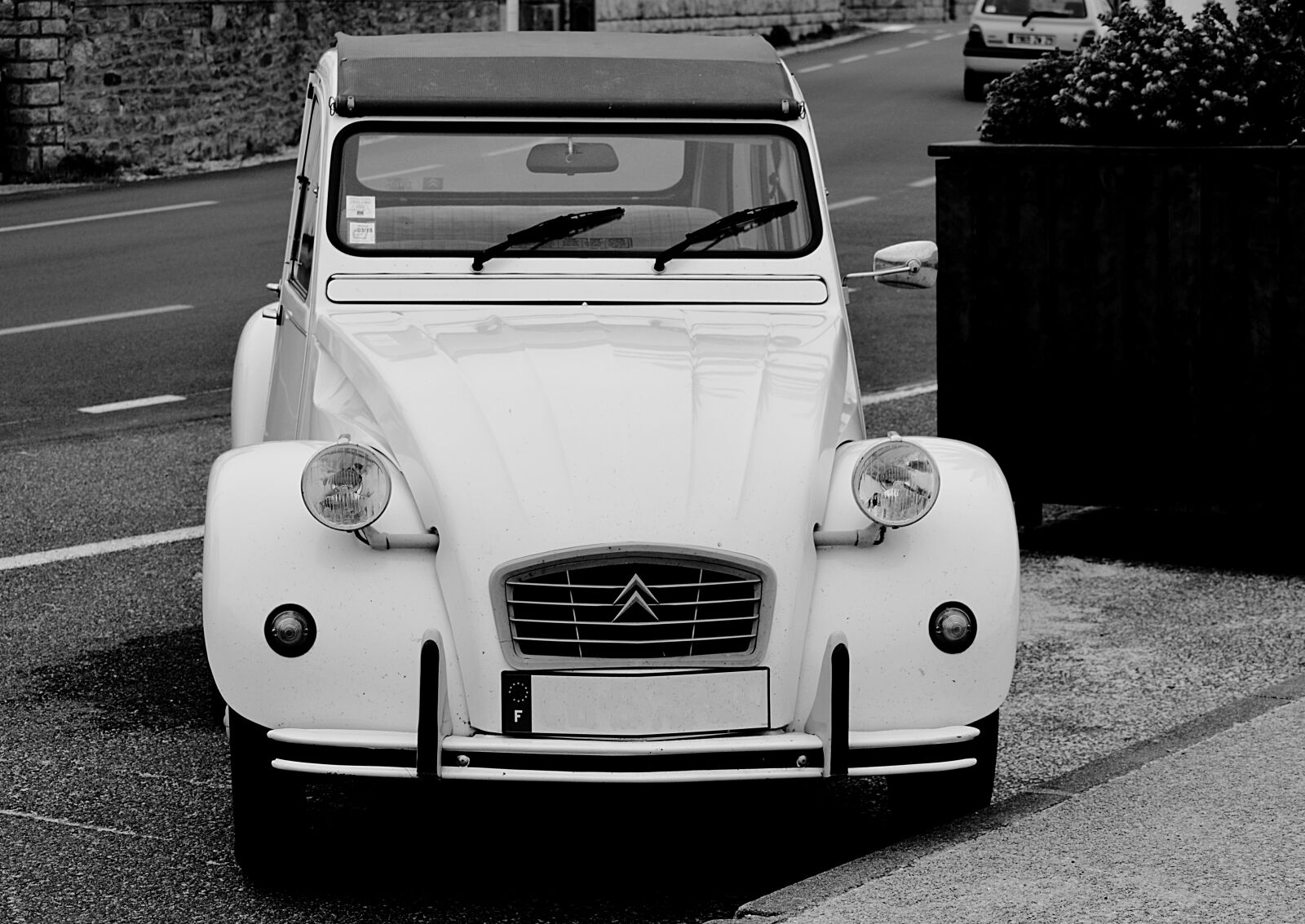 Nikon D5200 sample photo. Collection, deux, chevaux, noir photography