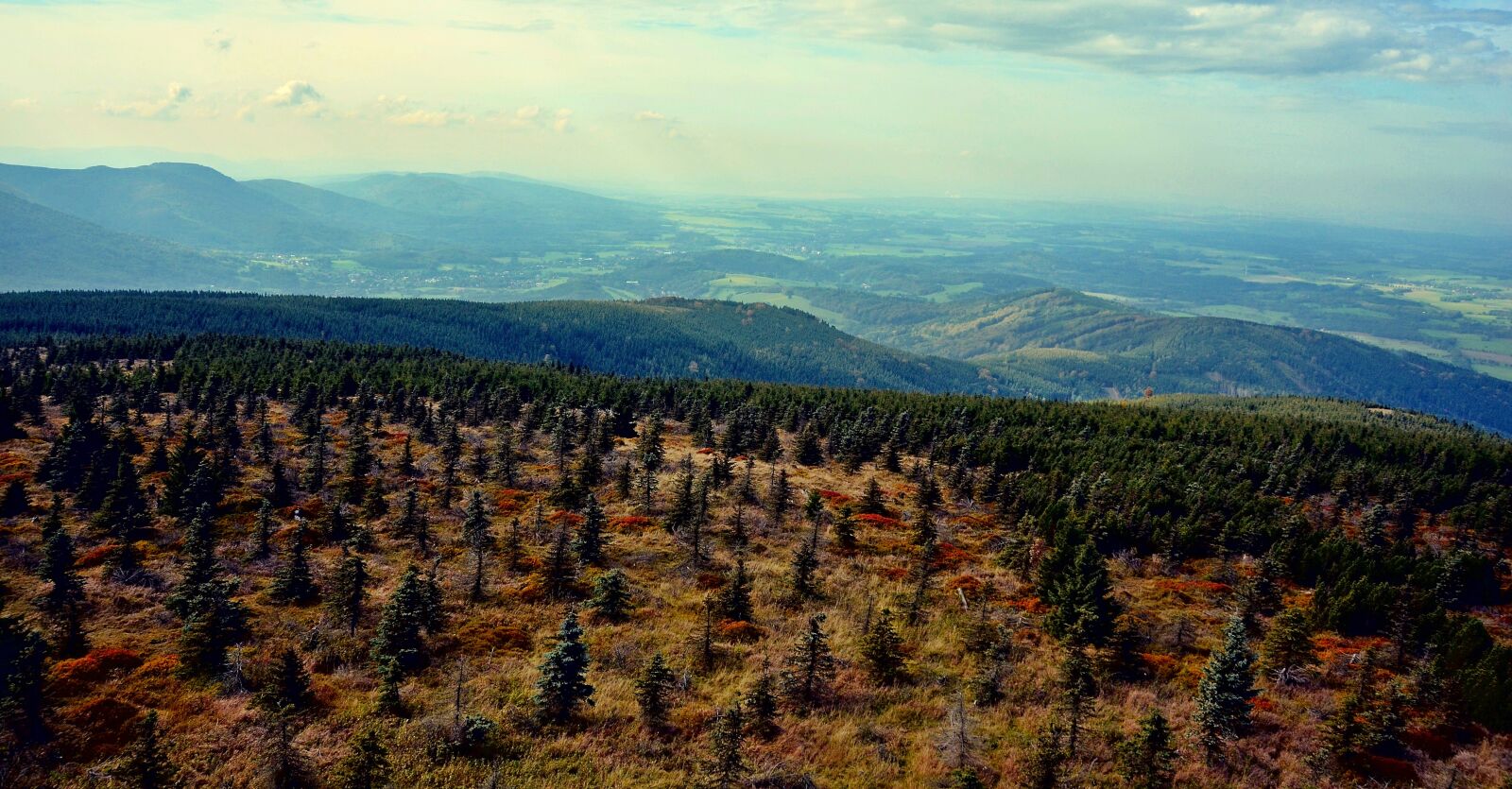 Nikon D5100 sample photo. Czech republic, spruce, panorama photography