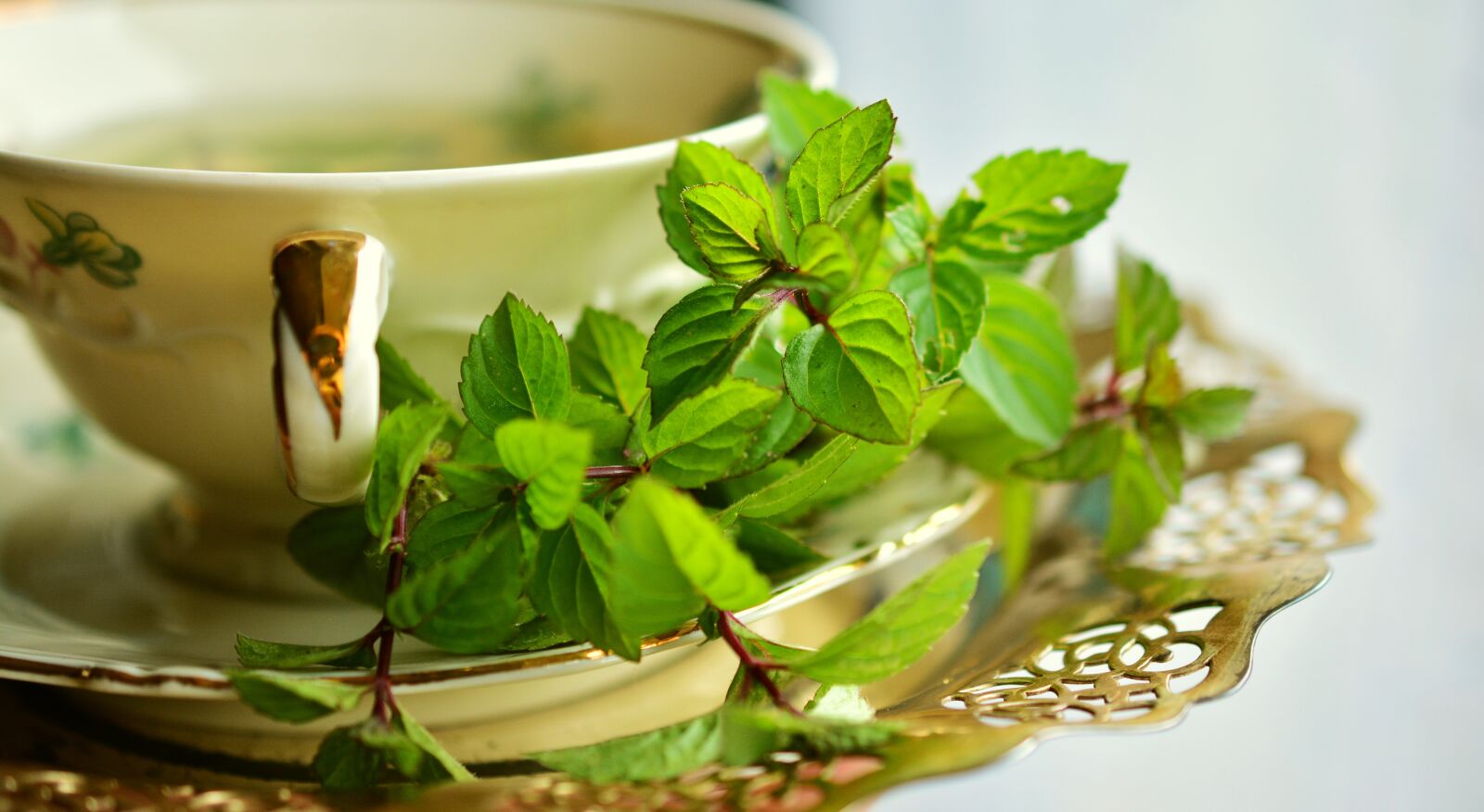 Nikon D5200 sample photo. Peppermint, peppermint tea, mint photography