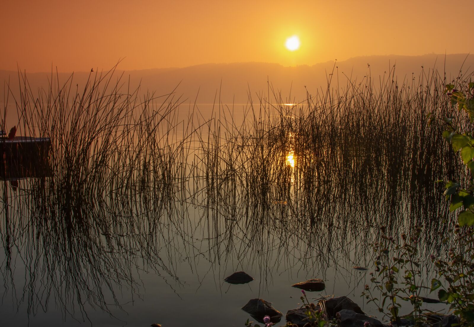 Canon EOS 60D sample photo. Sunrise, dawn, laacher lake photography