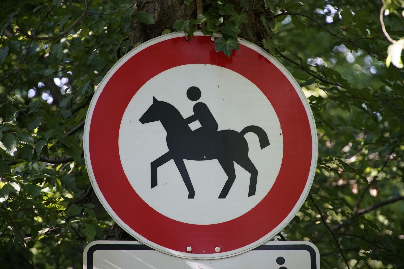 Sony a7R II + Sony E PZ 18-105mm F4 G OSS sample photo. Horse, riding, sign photography